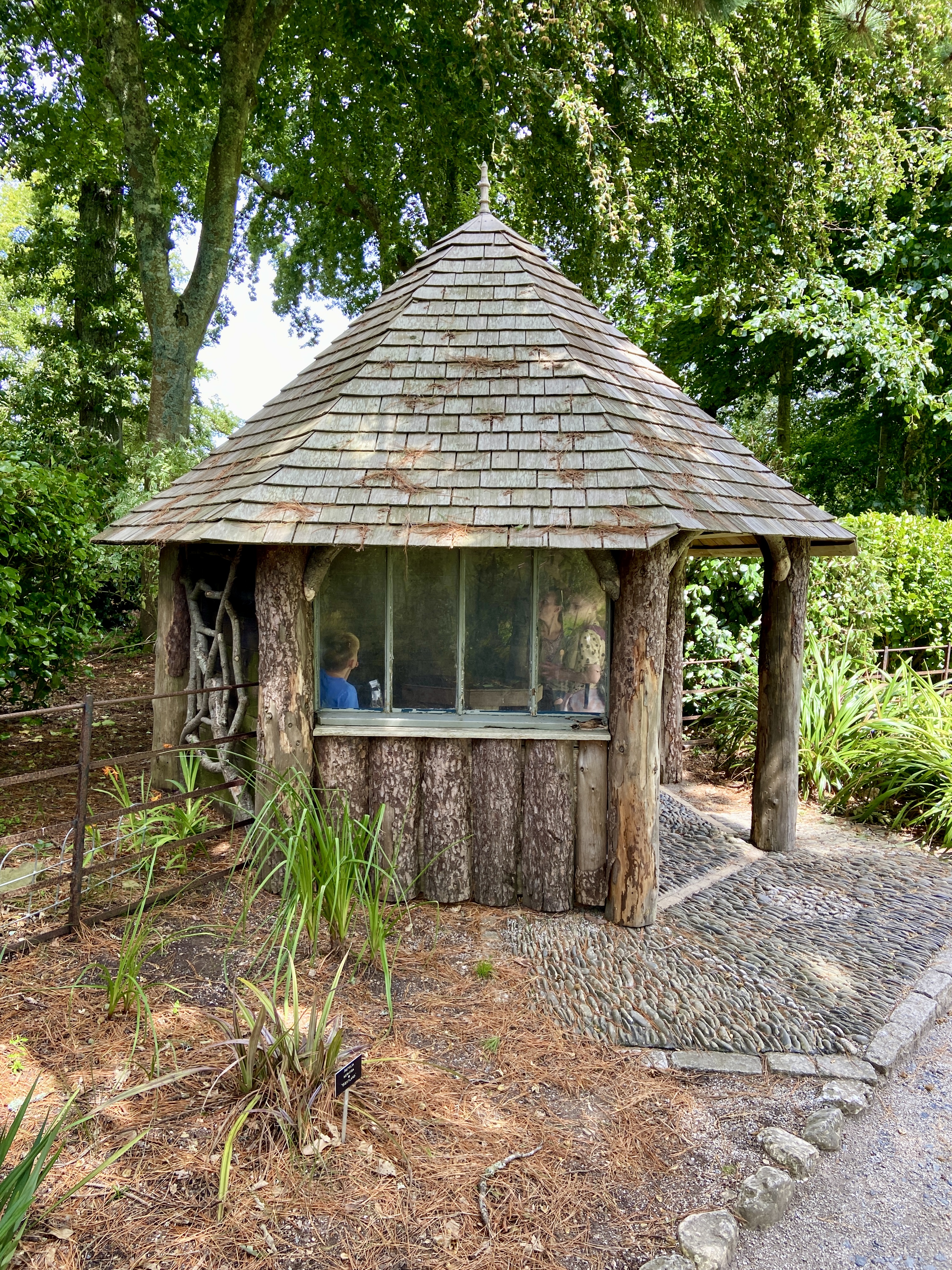 Tree trunk house at Trelissick