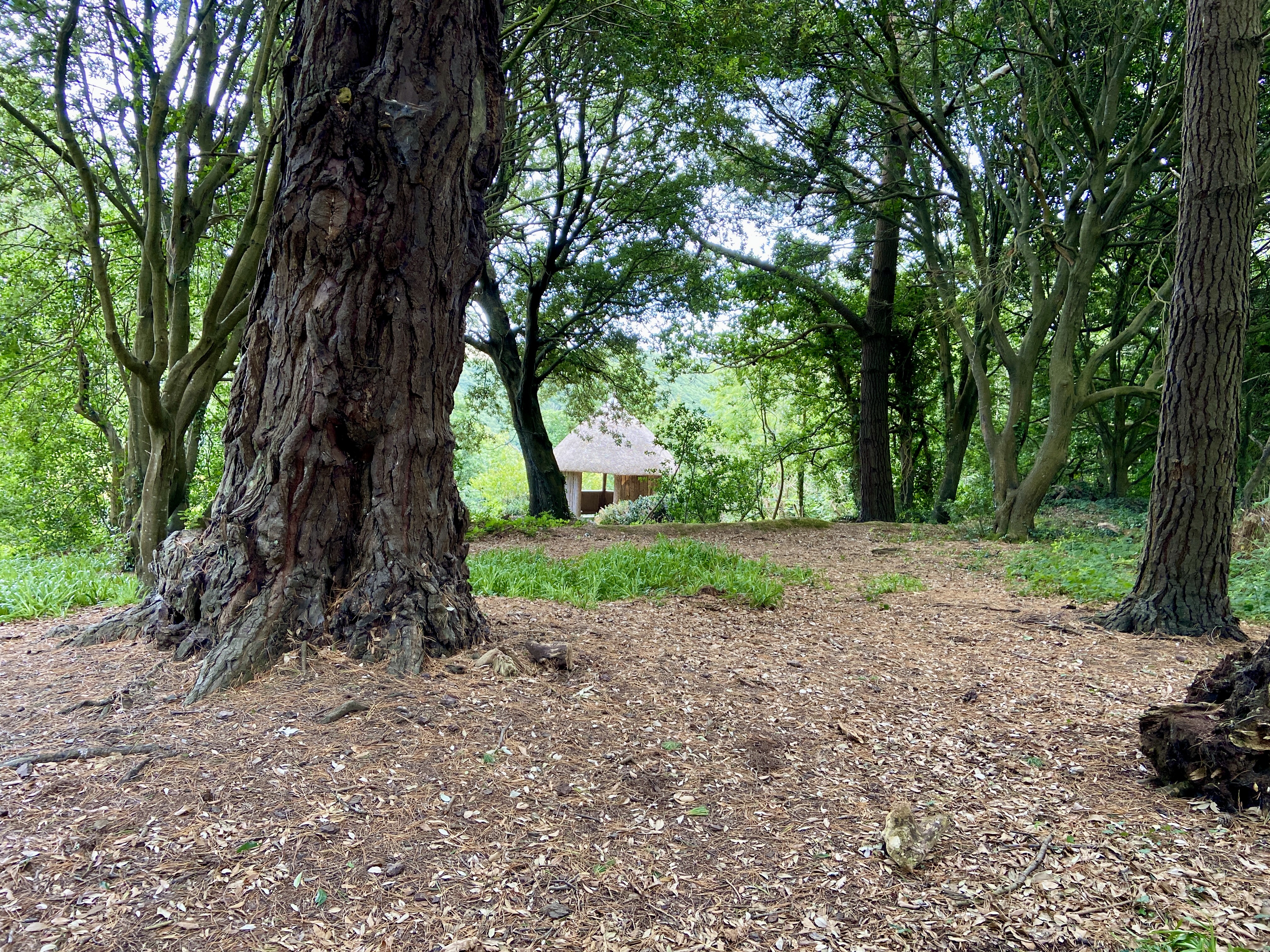 Tree trunk house at Trelissick Garden