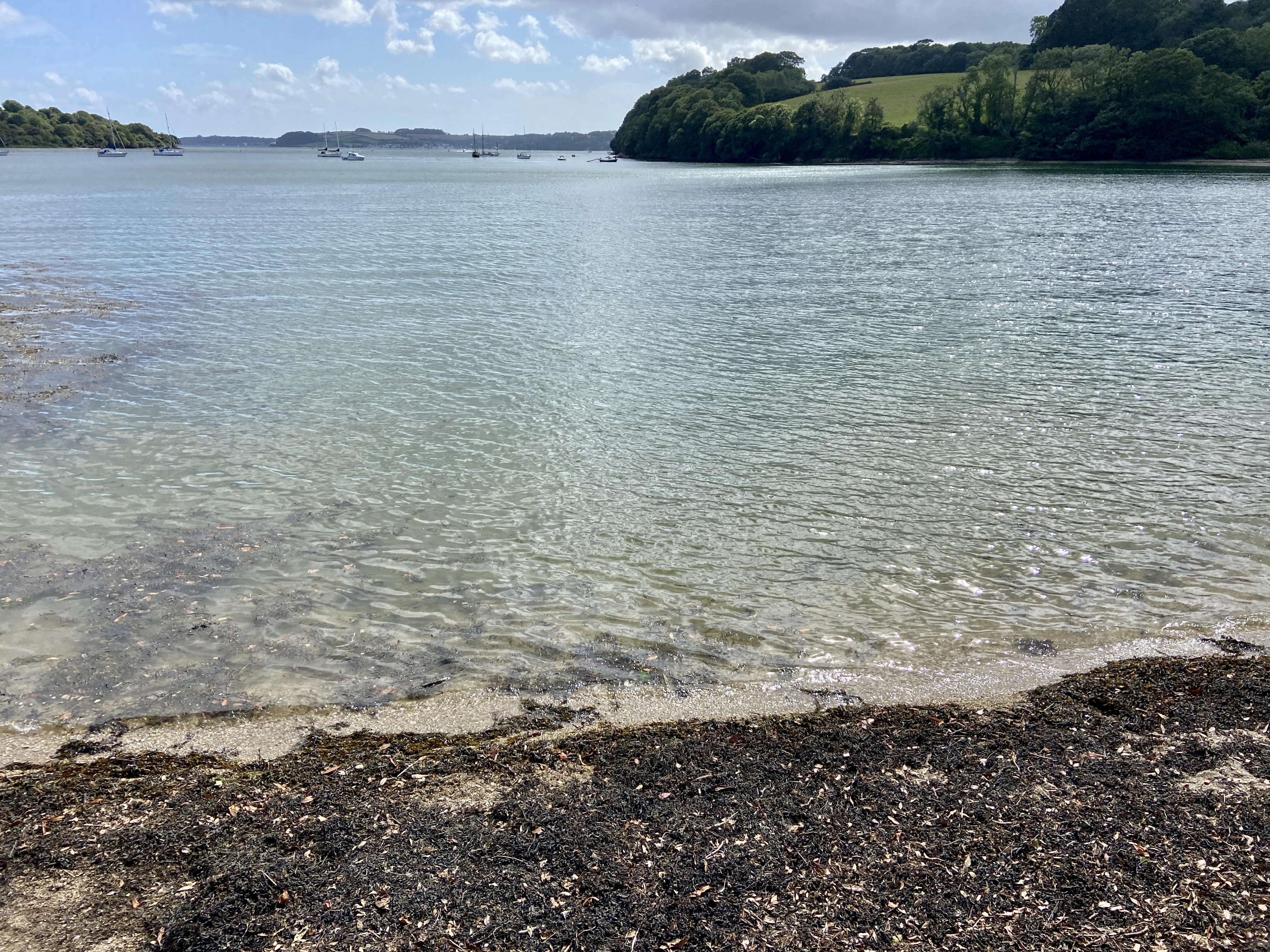 trelissick beach