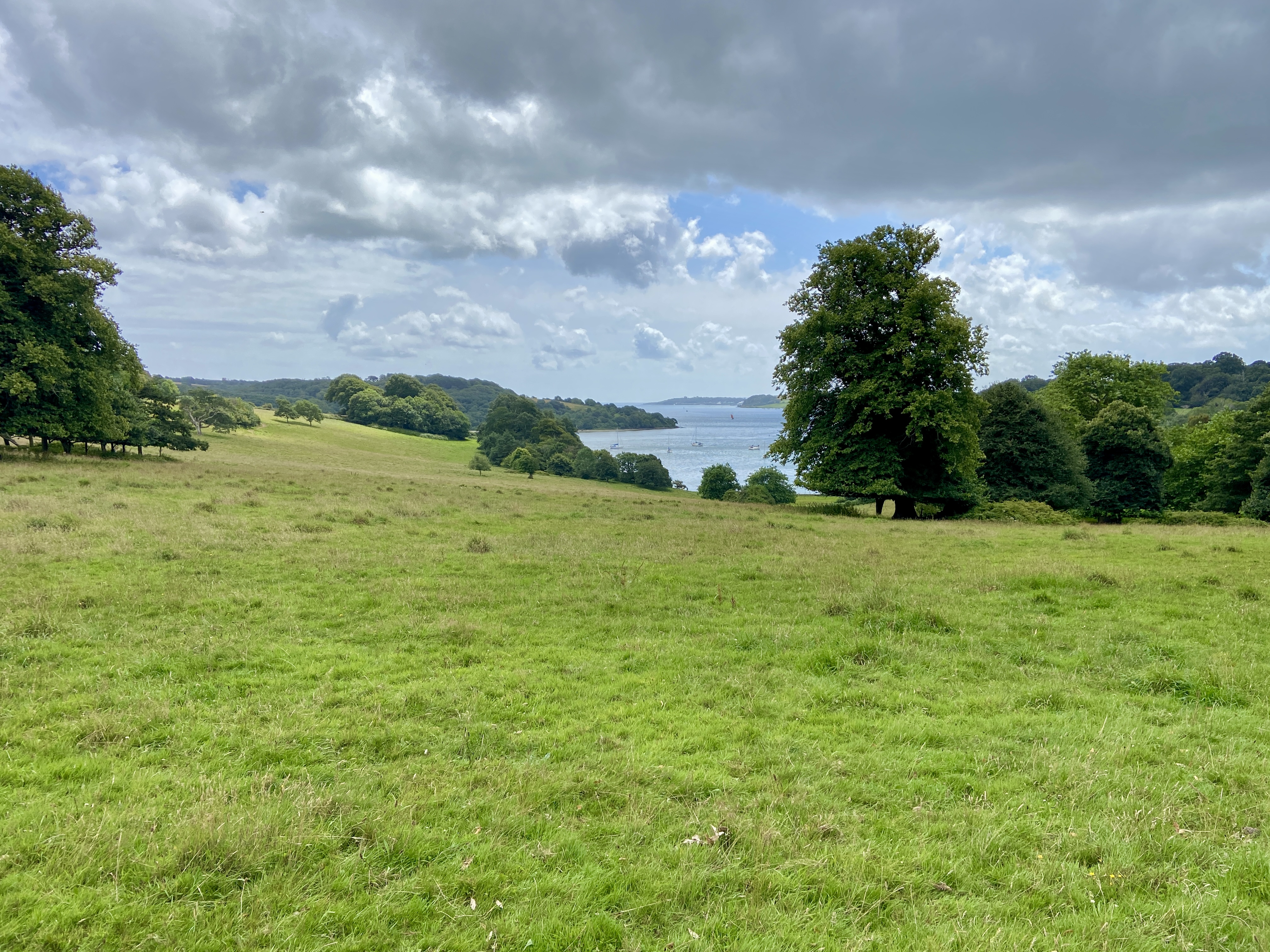 river fal view from trelissick estate