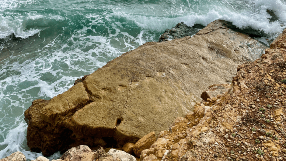 Where are the dinosaur footprints in salema