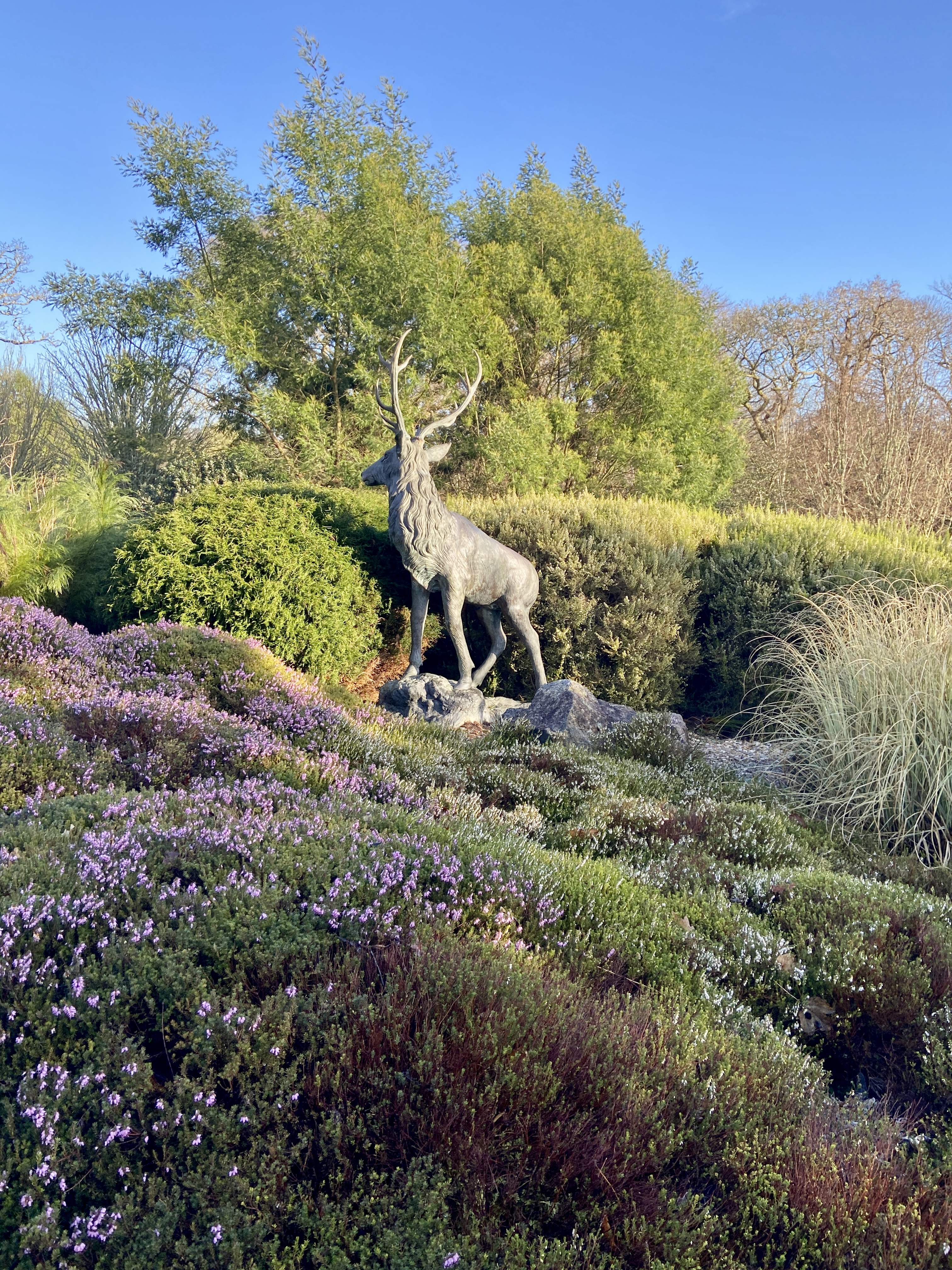 Pinetum Gardens Cornwall Review and Photos January