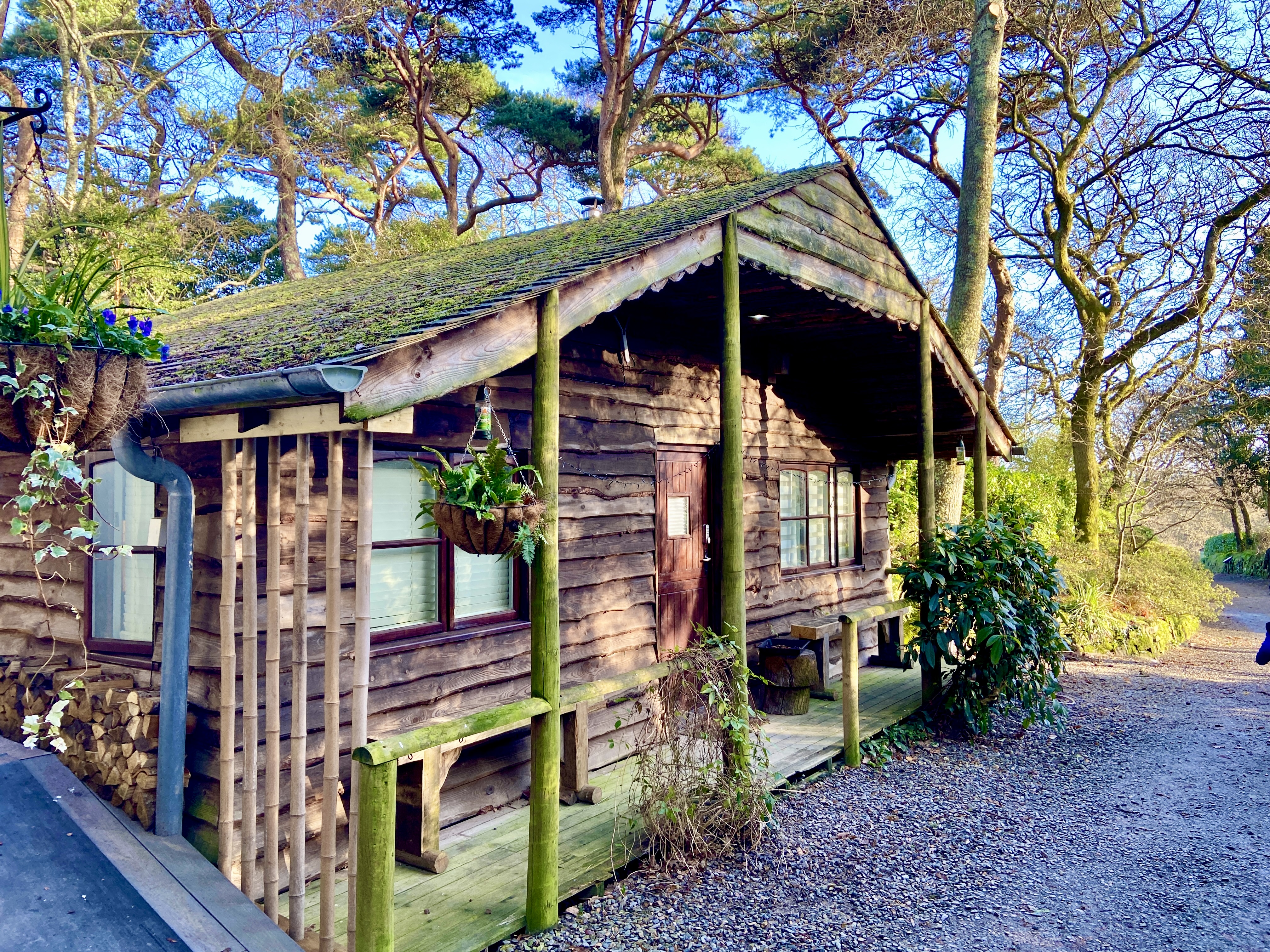 Pinetum Gardens Cornwall Review and Photos January