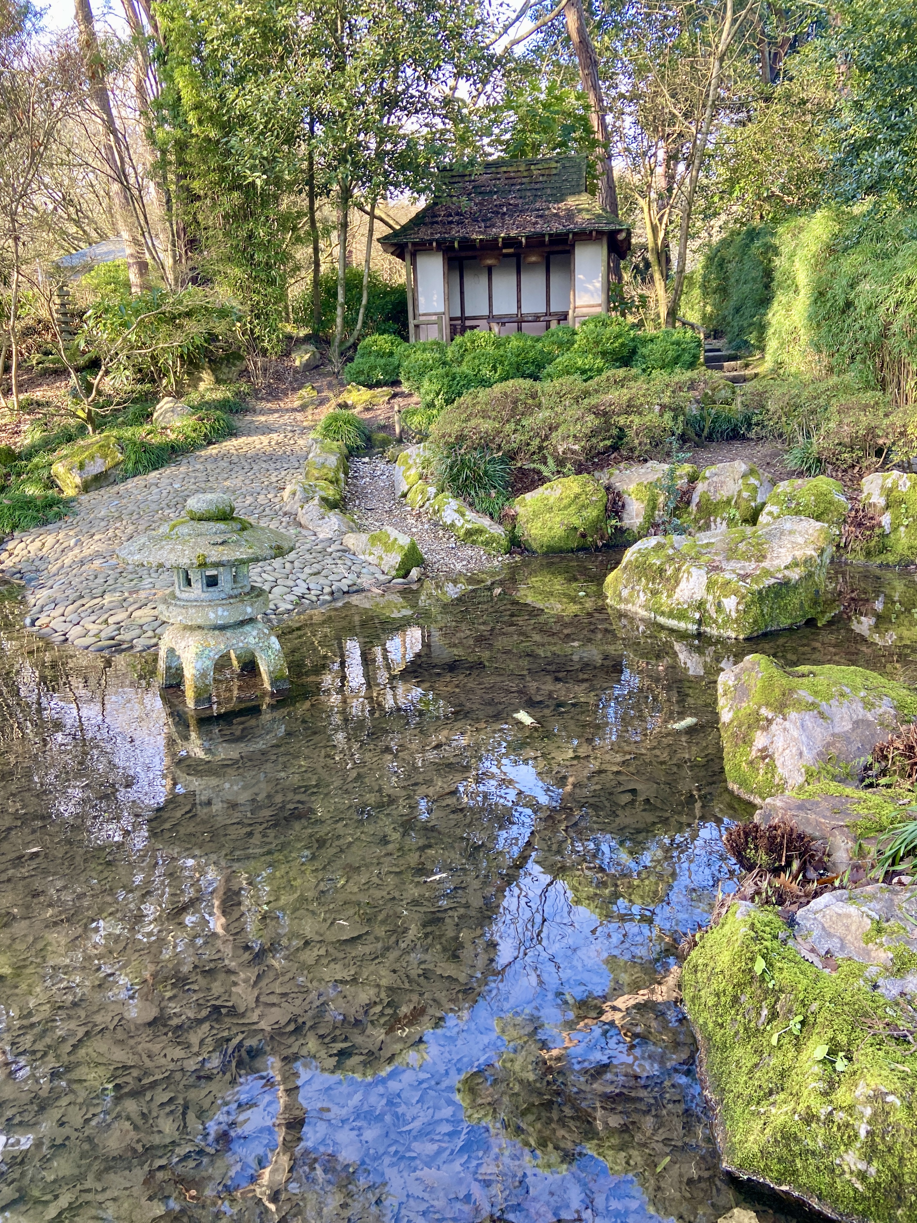 Pinetum Gardens Cornwall Review and Photos January