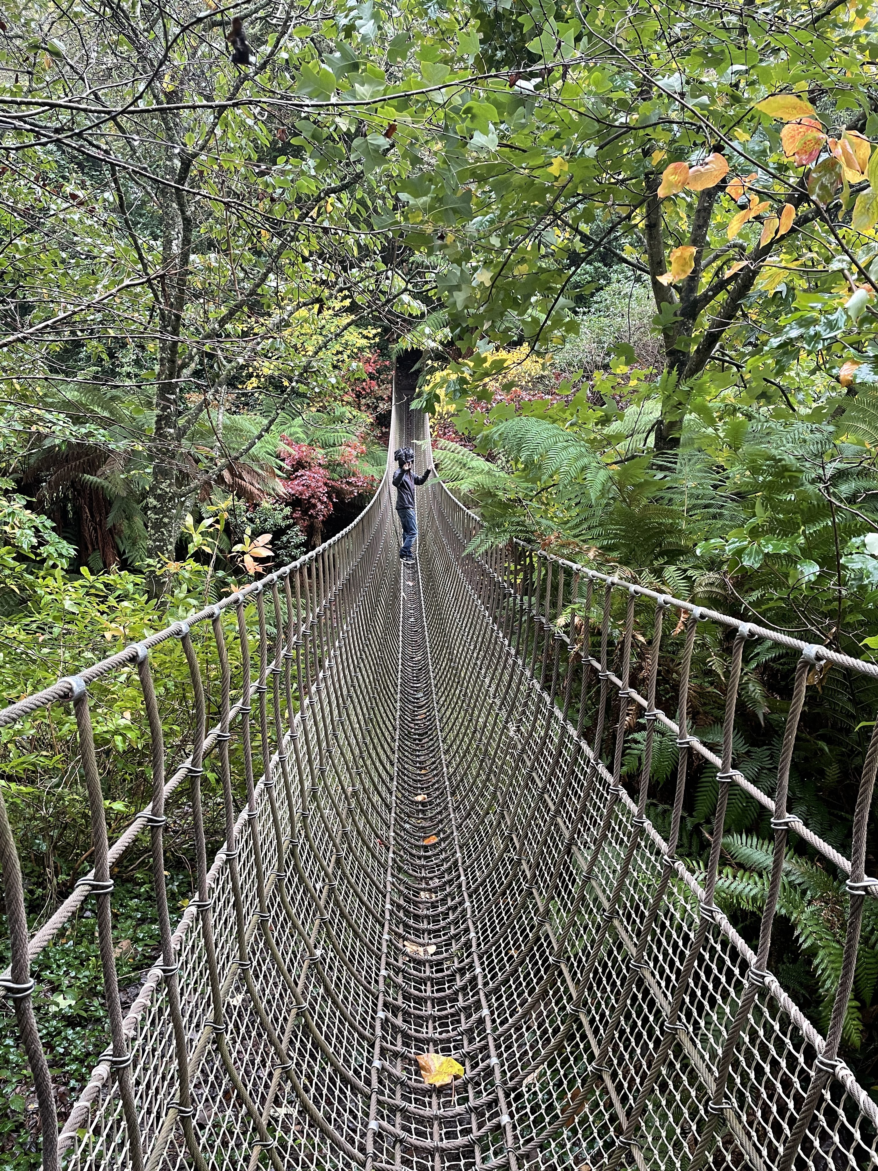 Burmese Rope Bridge in The Jungle at The Lost Gardens of Heligan
