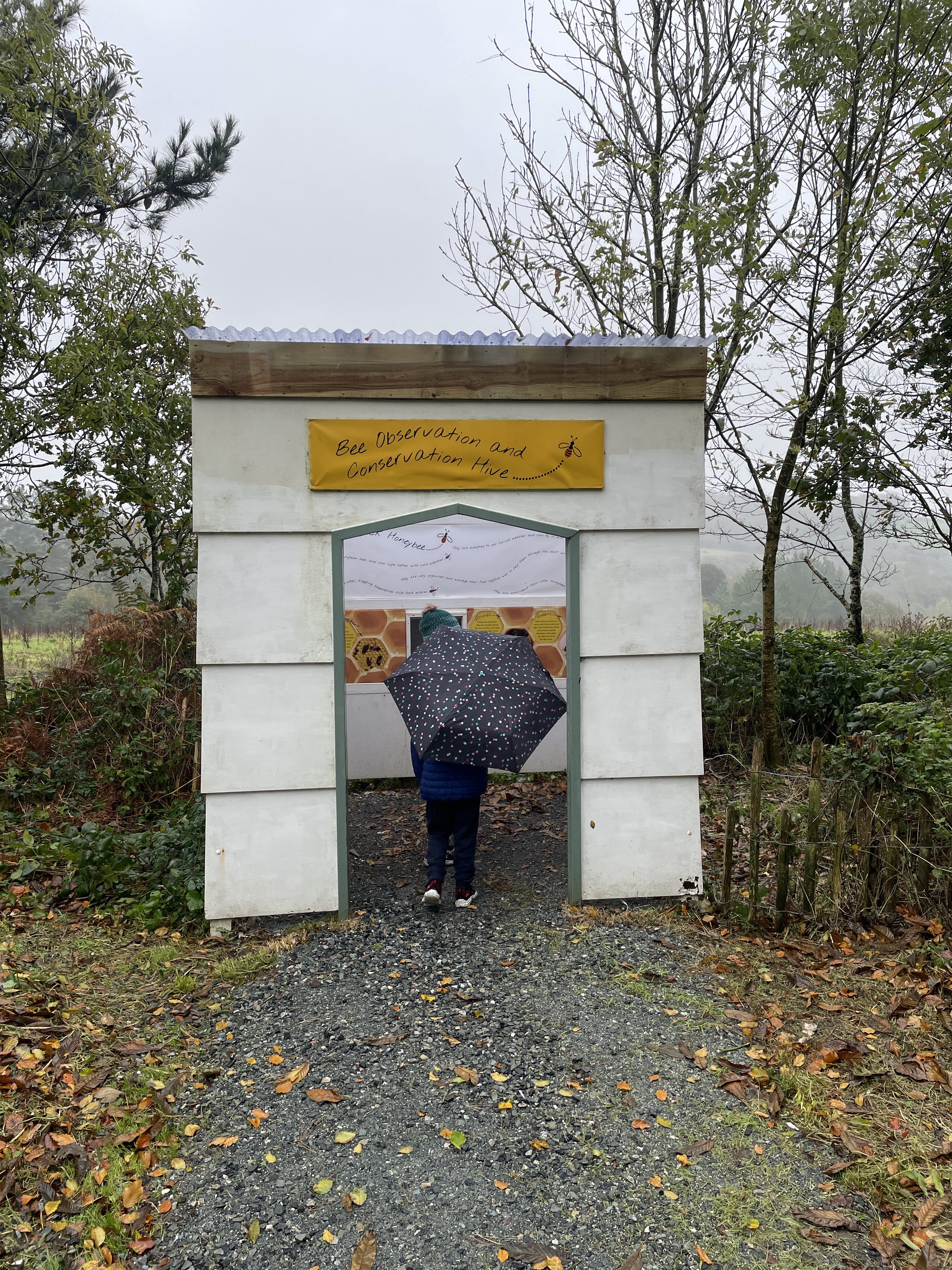Family Fun in November at The Lost Gardens of Heligan