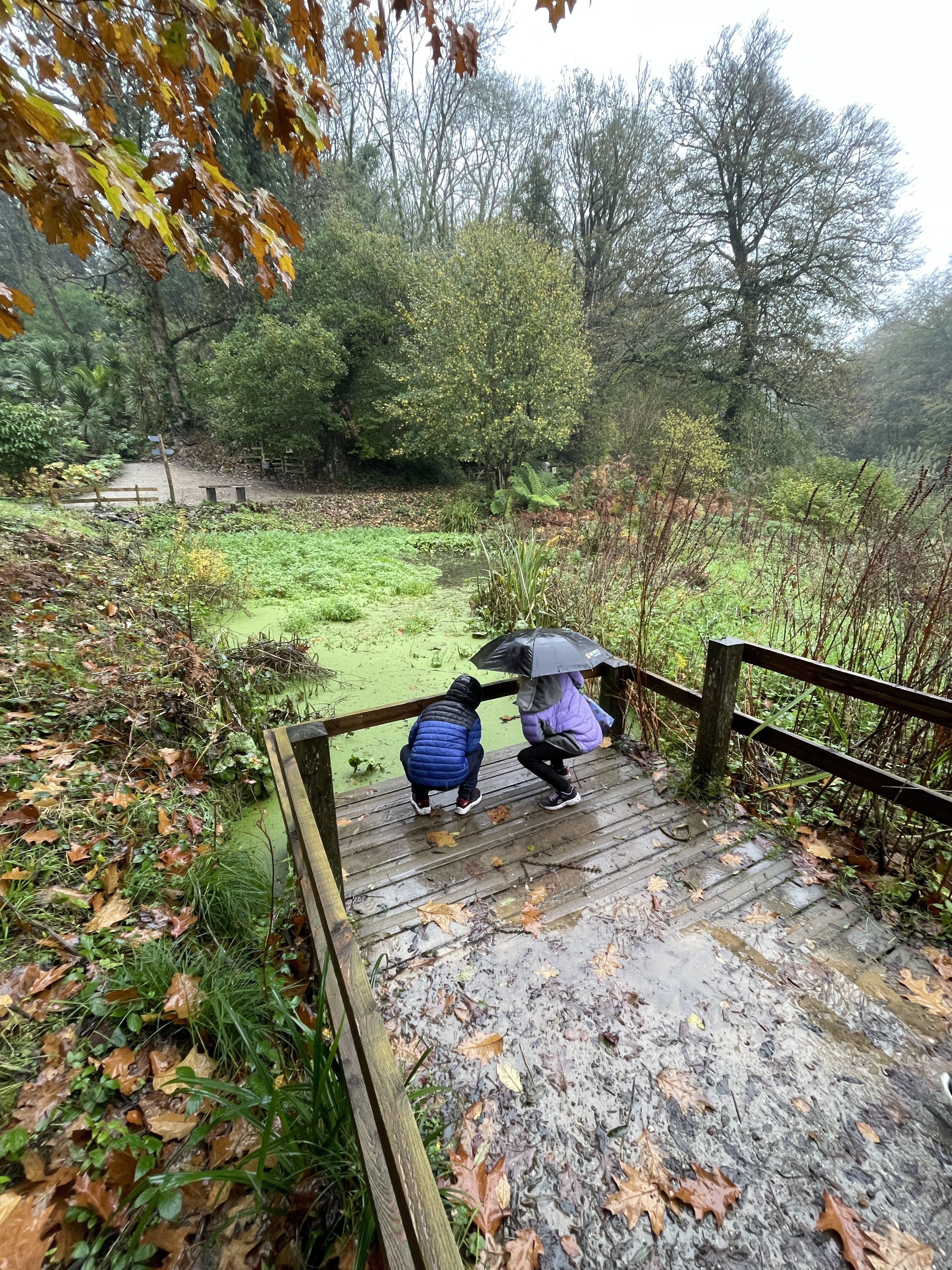Family Fun in November at The Lost Gardens of Heligan