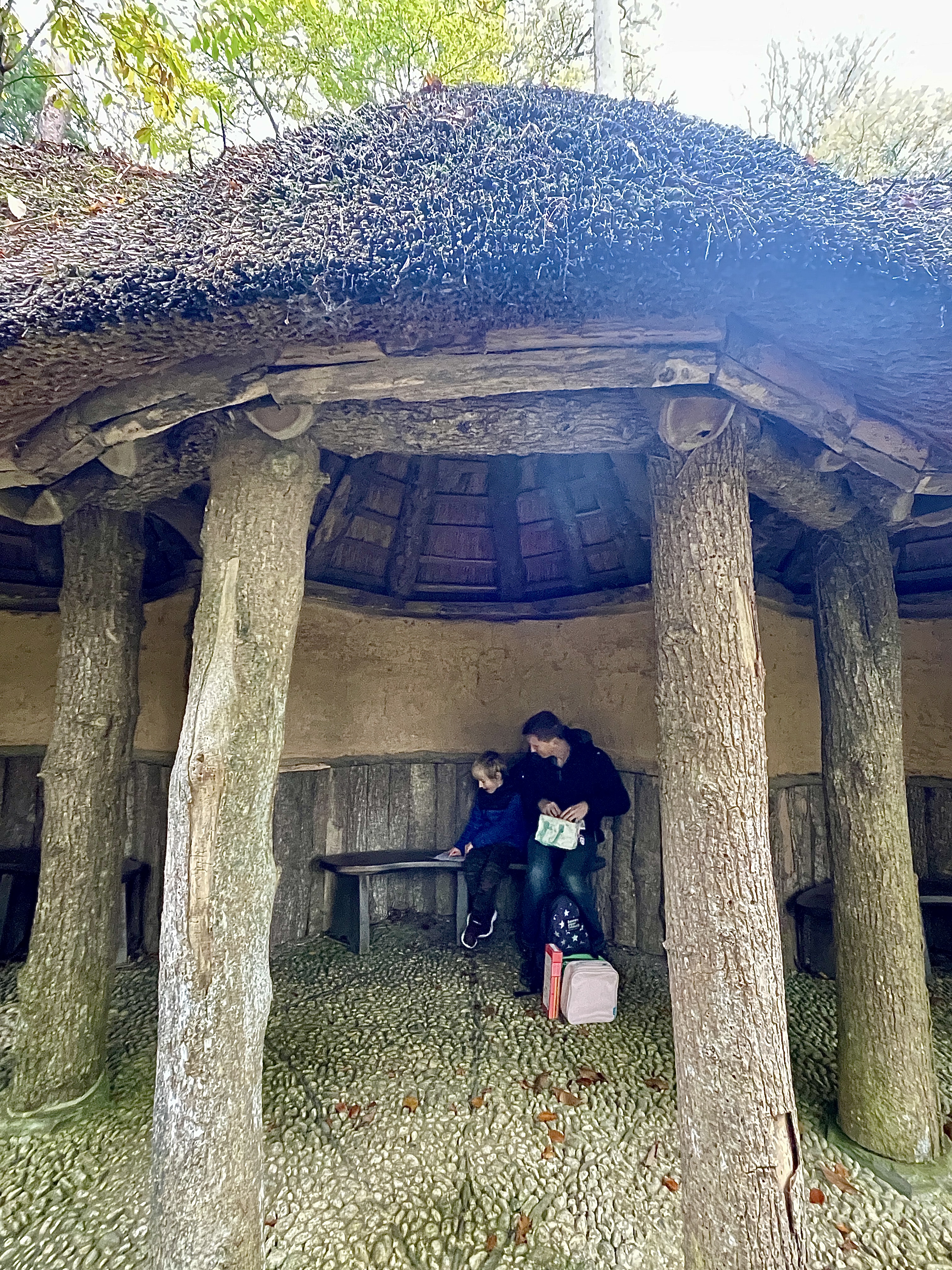Trebah Gardens Review