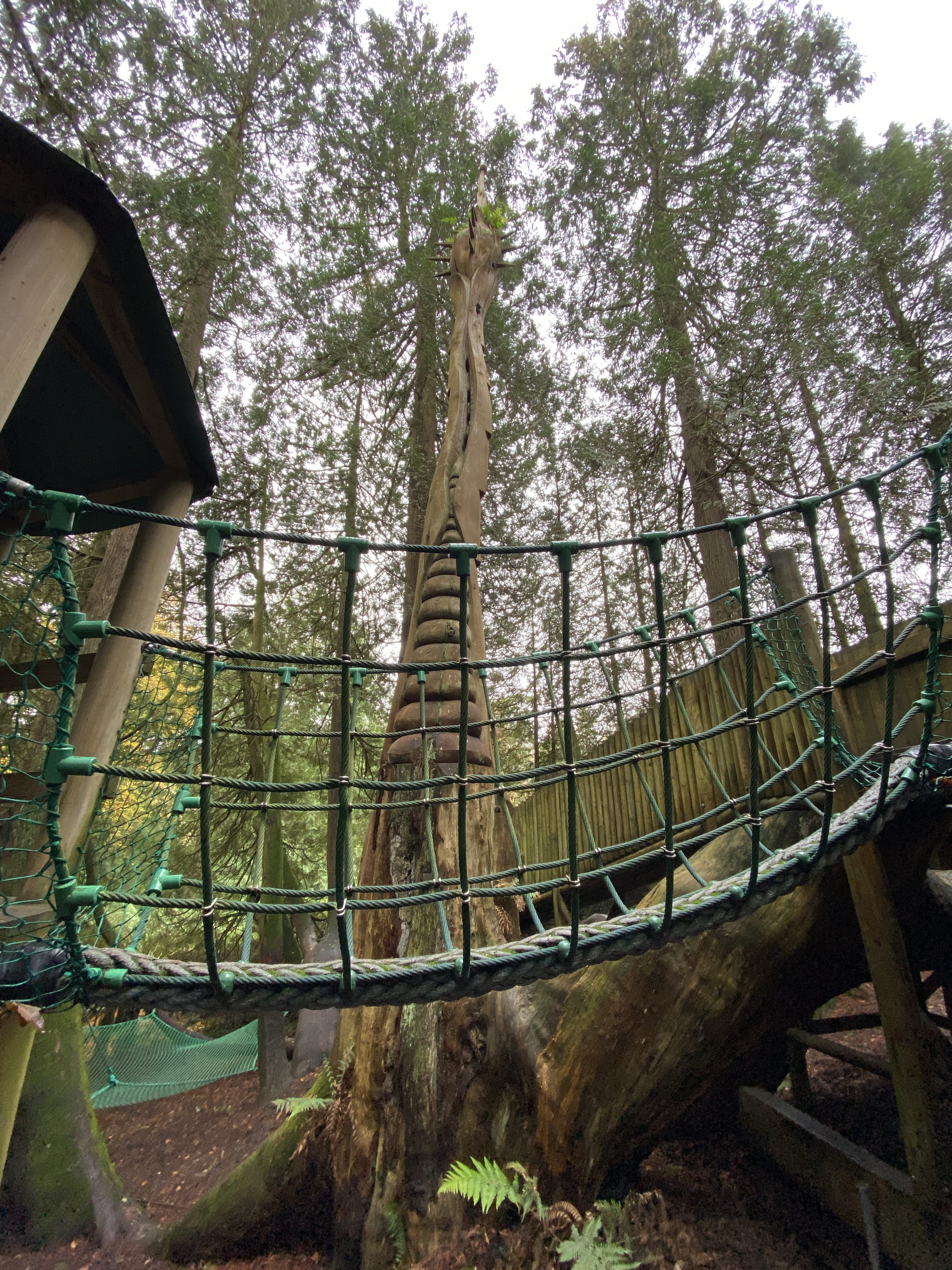 Treetrunk carving at Trebah gardens
