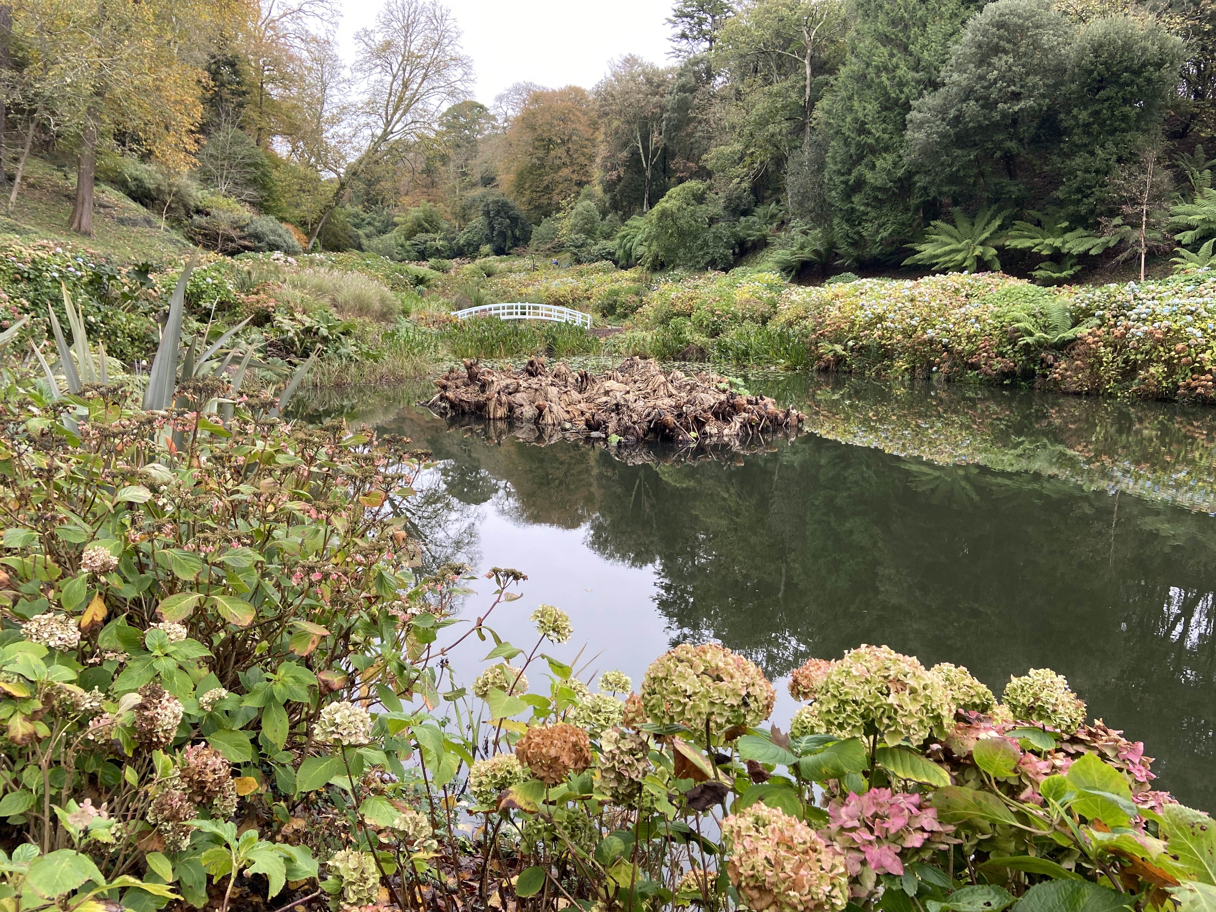 White bridge at Trebah Gardens