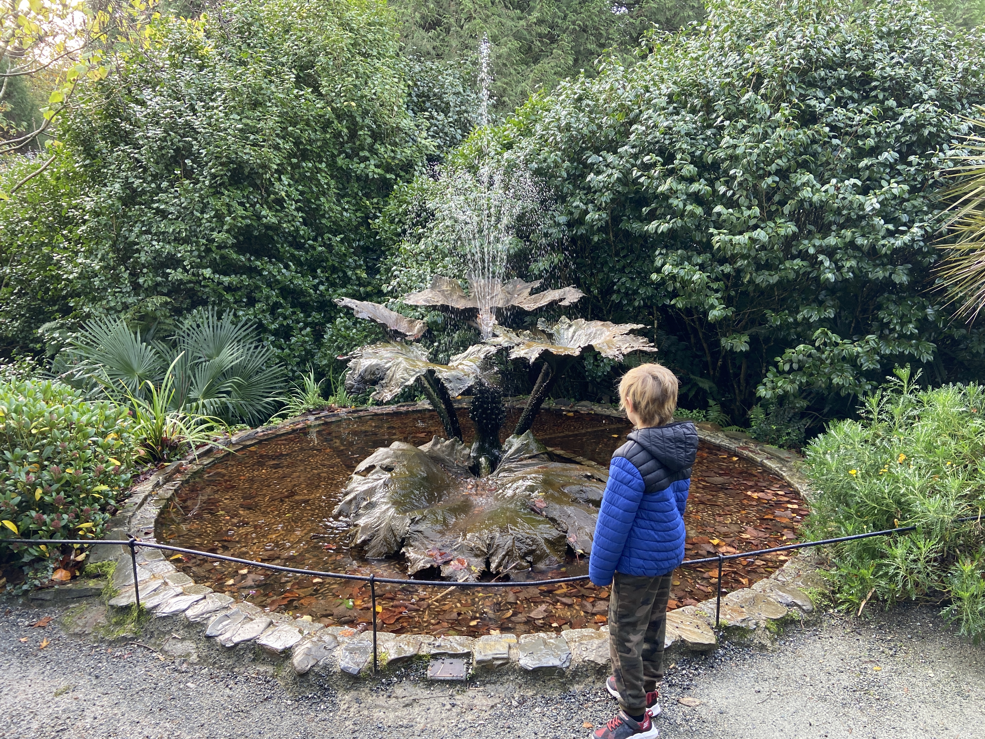 Gunnera water fountain sculpture at Trebah Gardens
