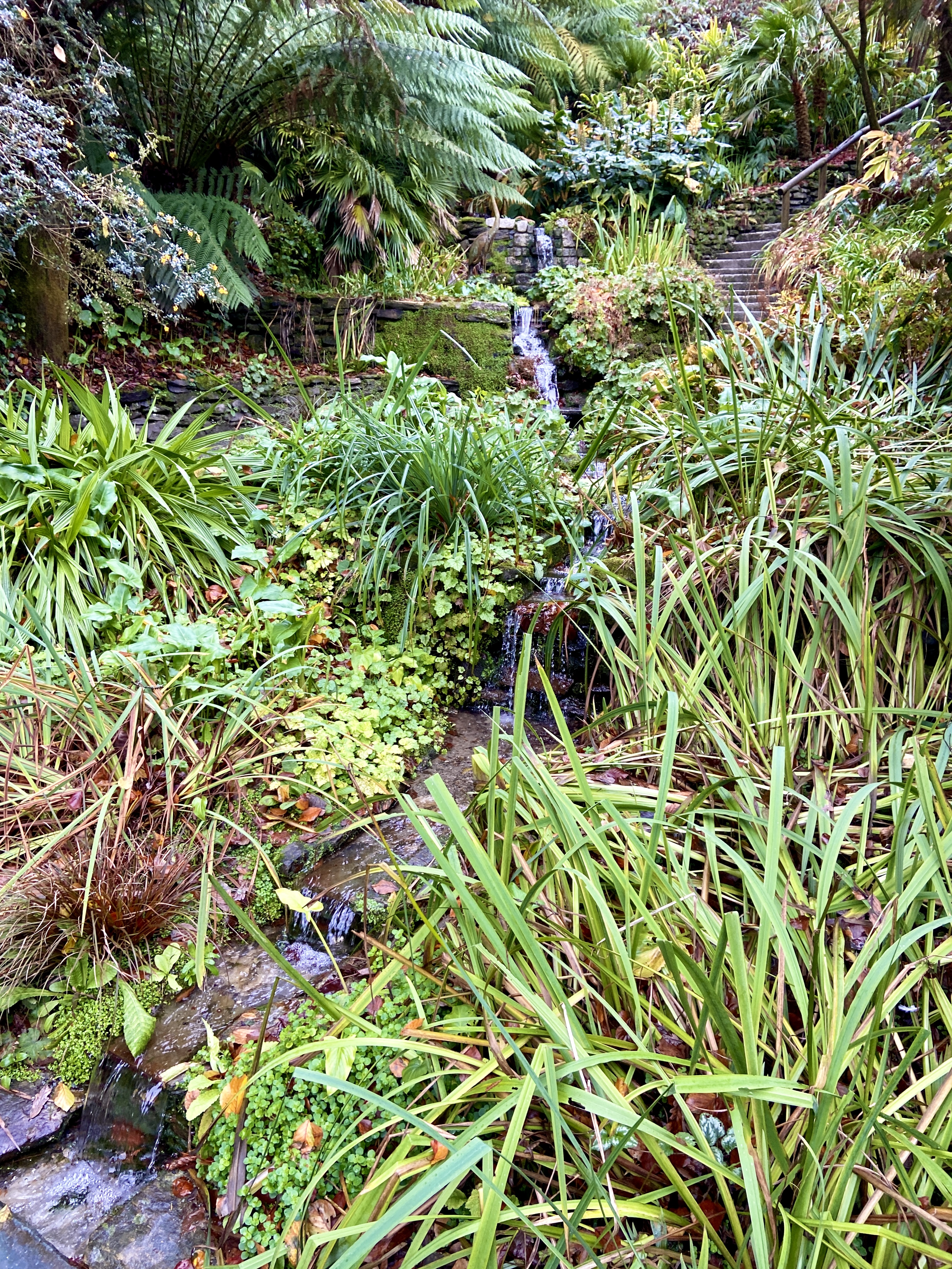 Waterfall at Trebah Gardens