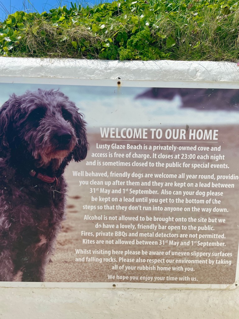 is lusty glaze dog friendly