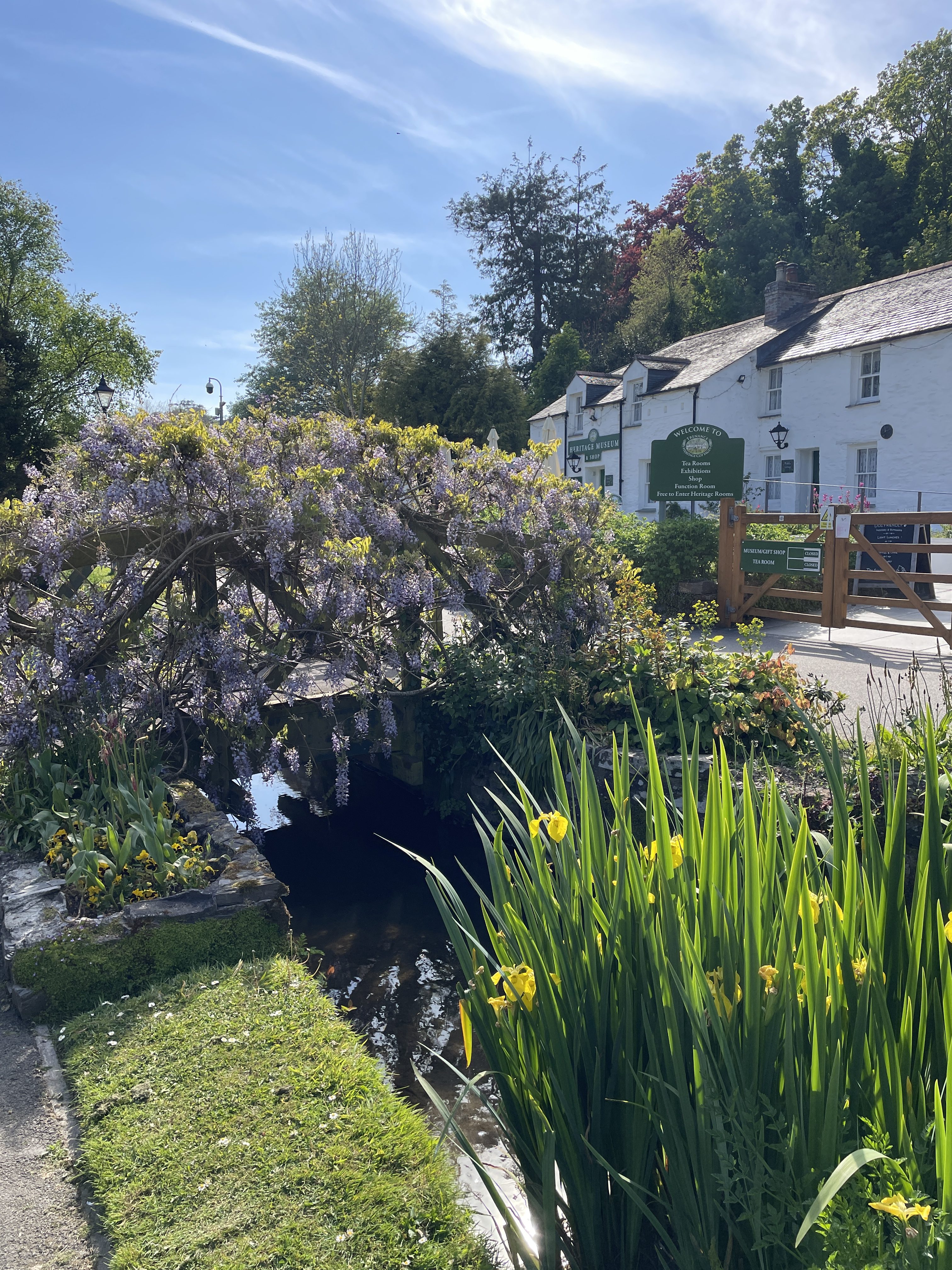 Wisteria at Trenance Cottages