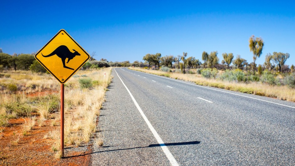 Must-See Wildlife on Your Australian Adventure