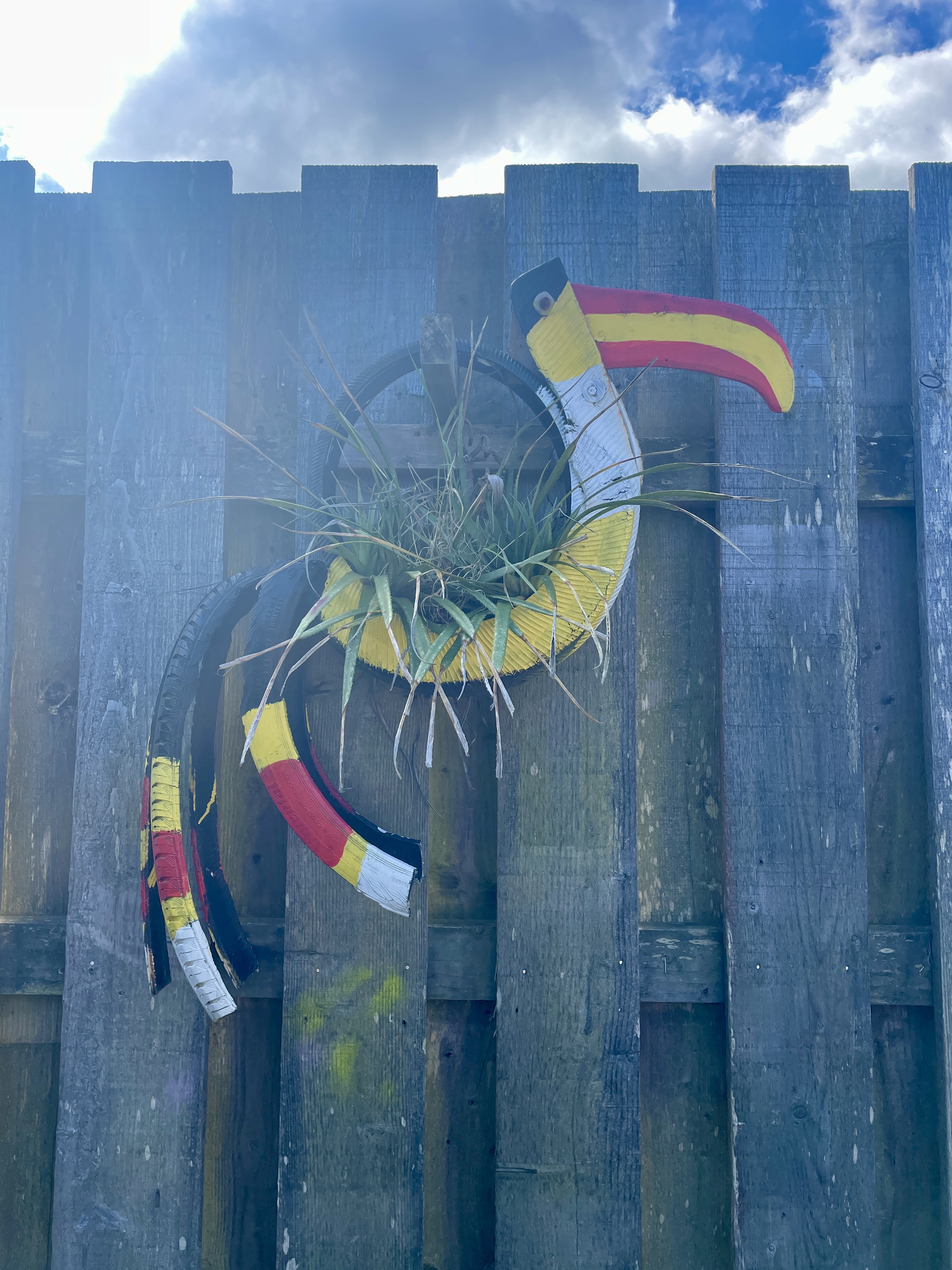2024 Tropical Pressure Festival Review Family Fun in Cornwall