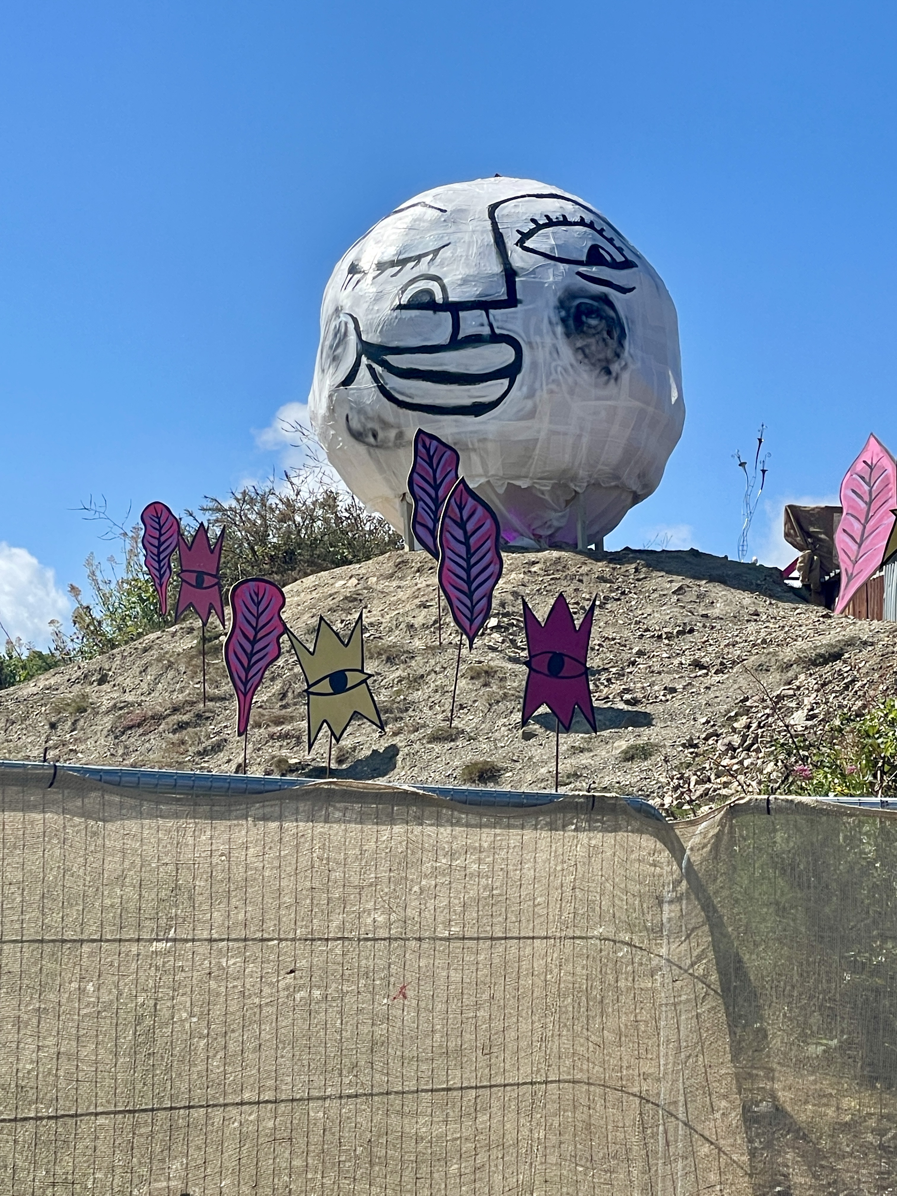 2024 Tropical Pressure Festival Review Family Fun in Cornwall