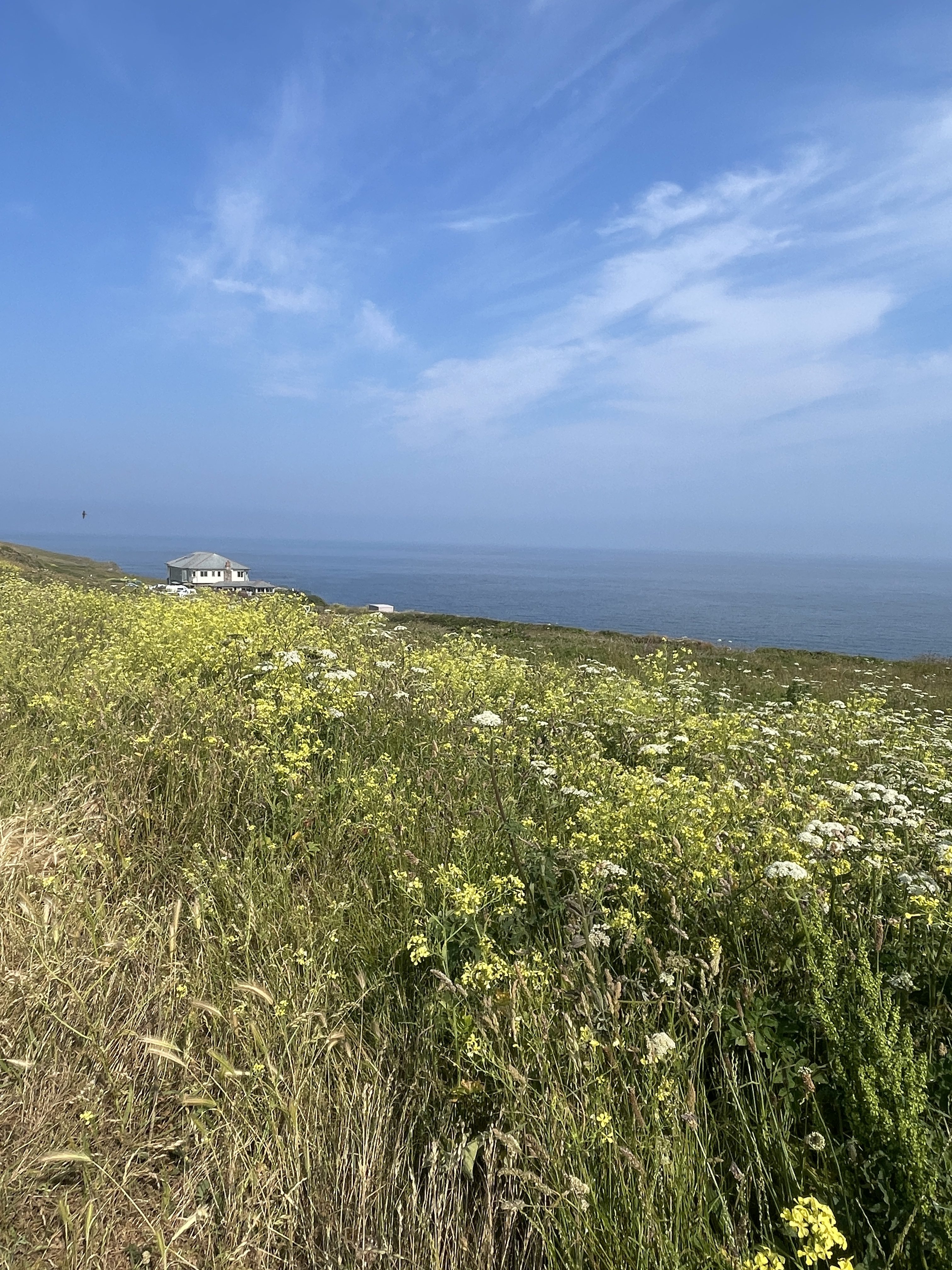 The Lewinnick Lodge is perched halfway along Pentire Headland in Newquay.  A great spot for food and drink with a view!
