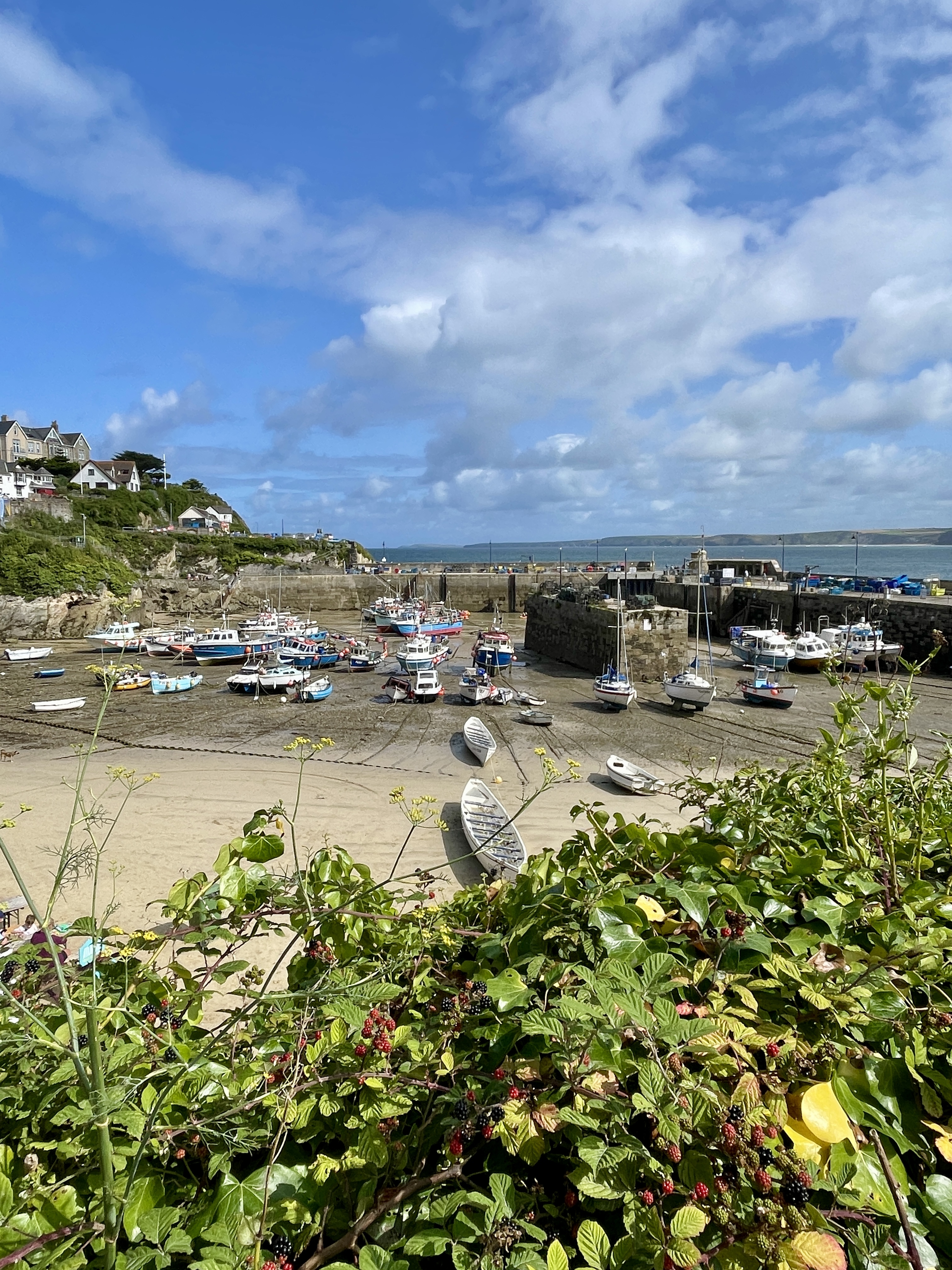 Newquay Harbour