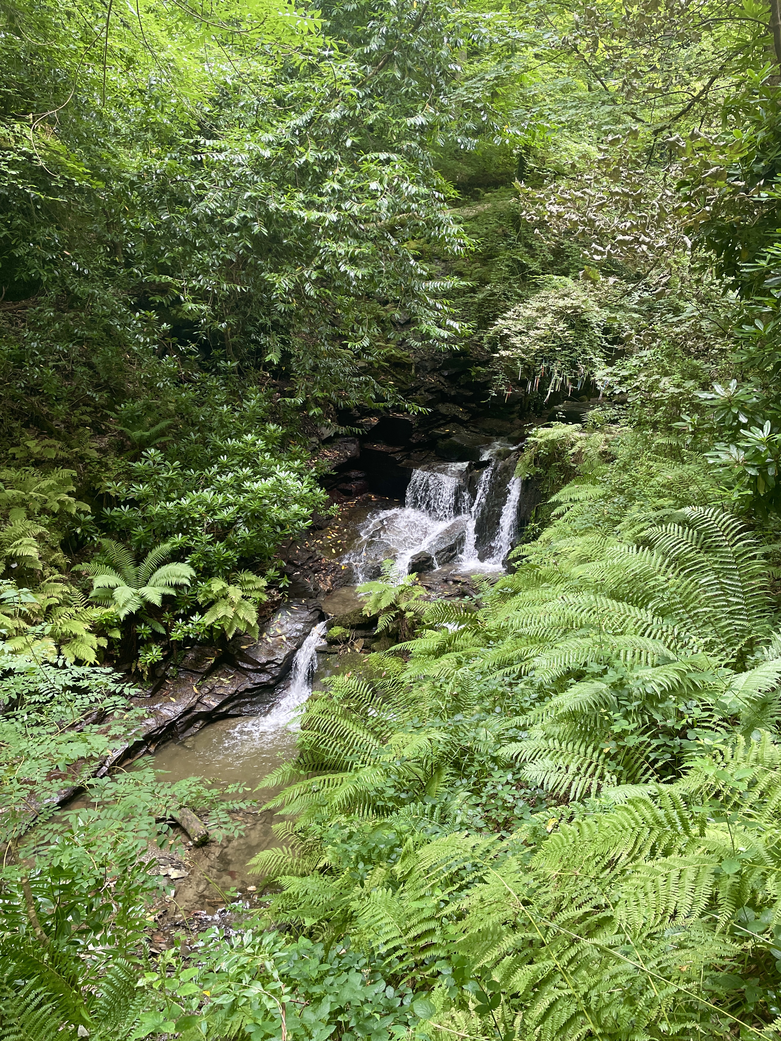 Nearly at St Nectan's Glen waterfall