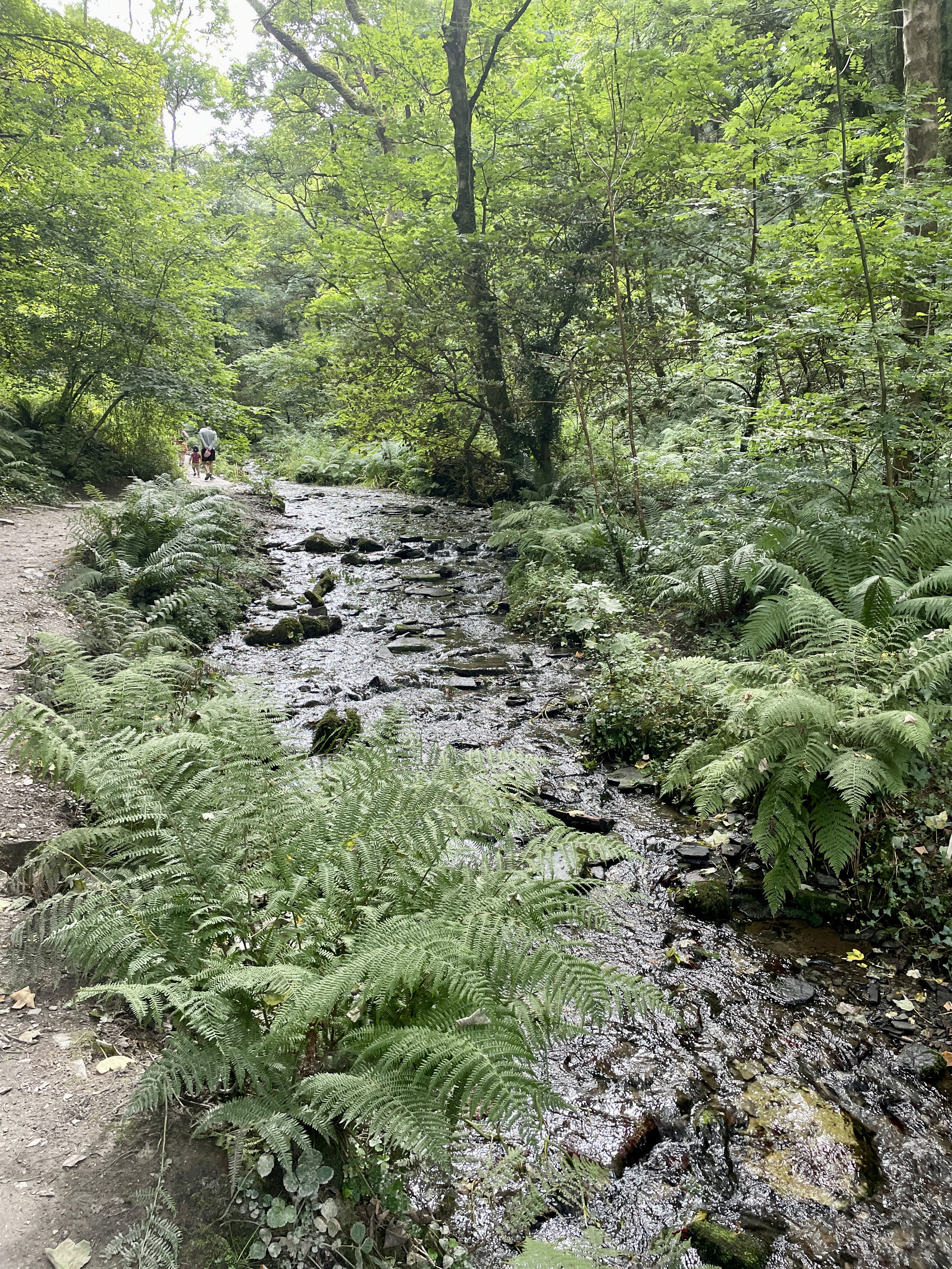 St Nectan's Glen