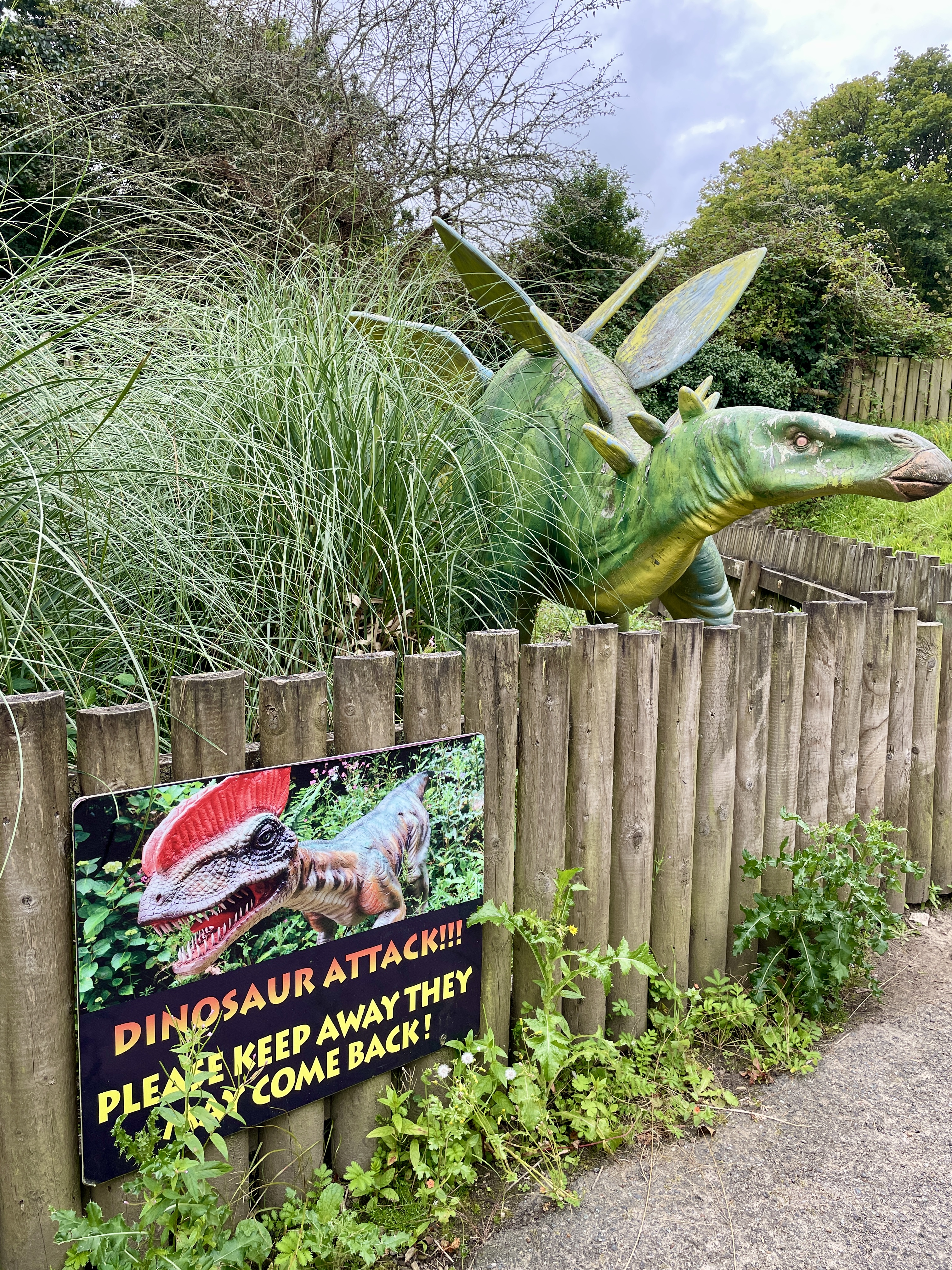 Jurassic rides and area at Flambards