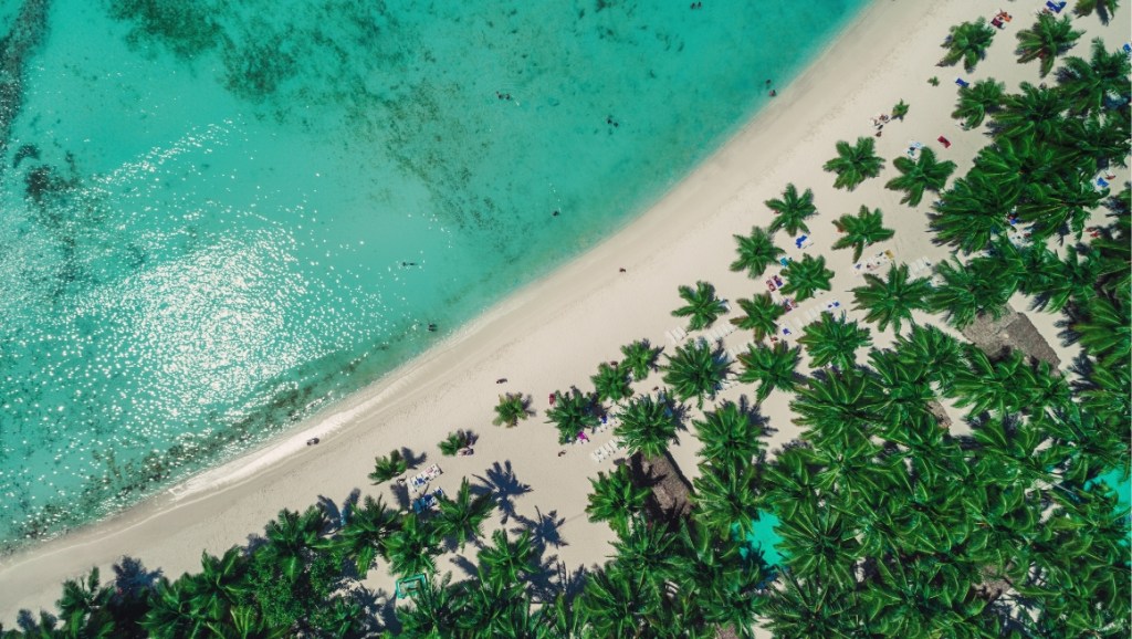 The Caribbean