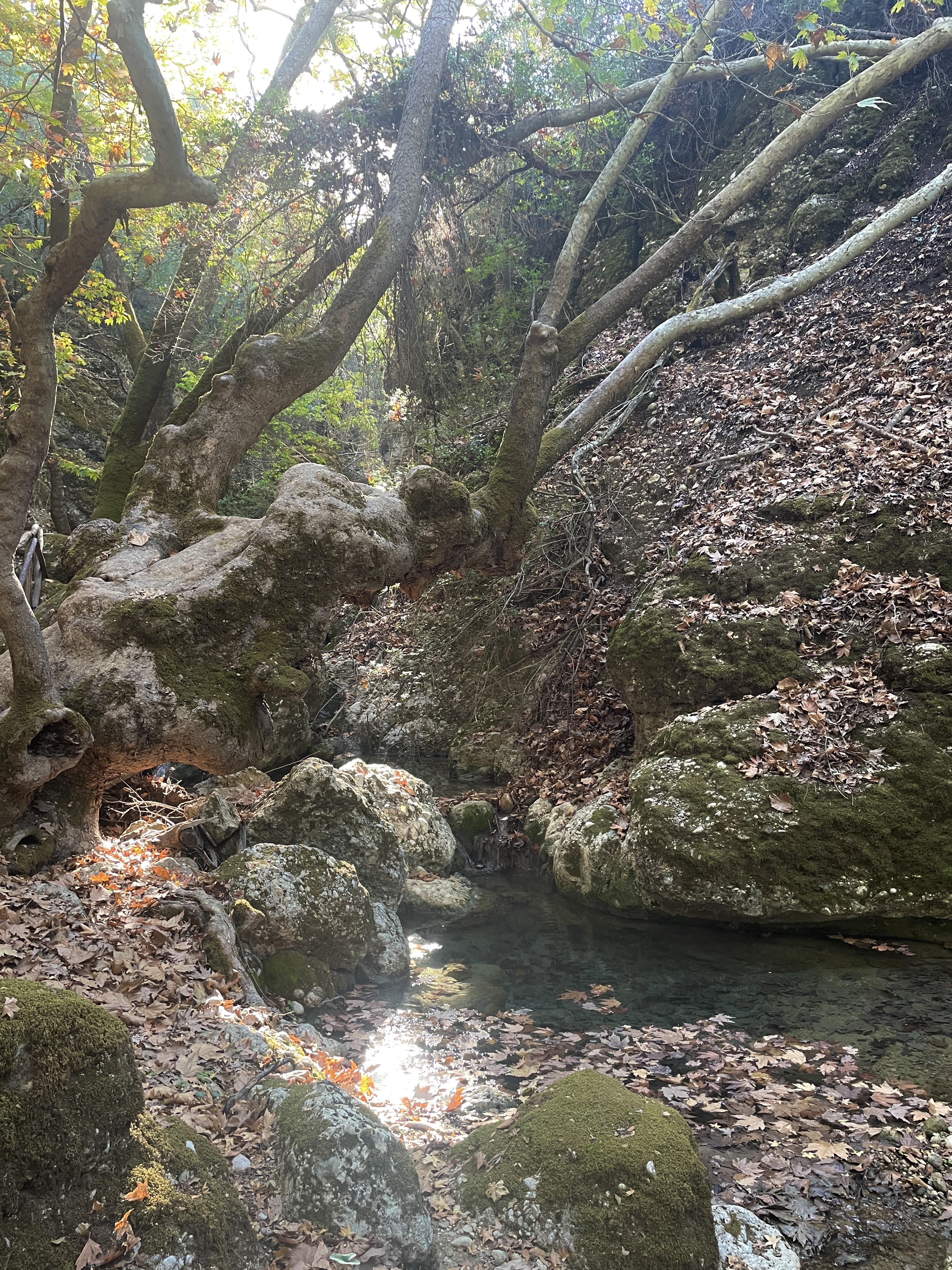 Butterfly Valley in October in Rhodes 