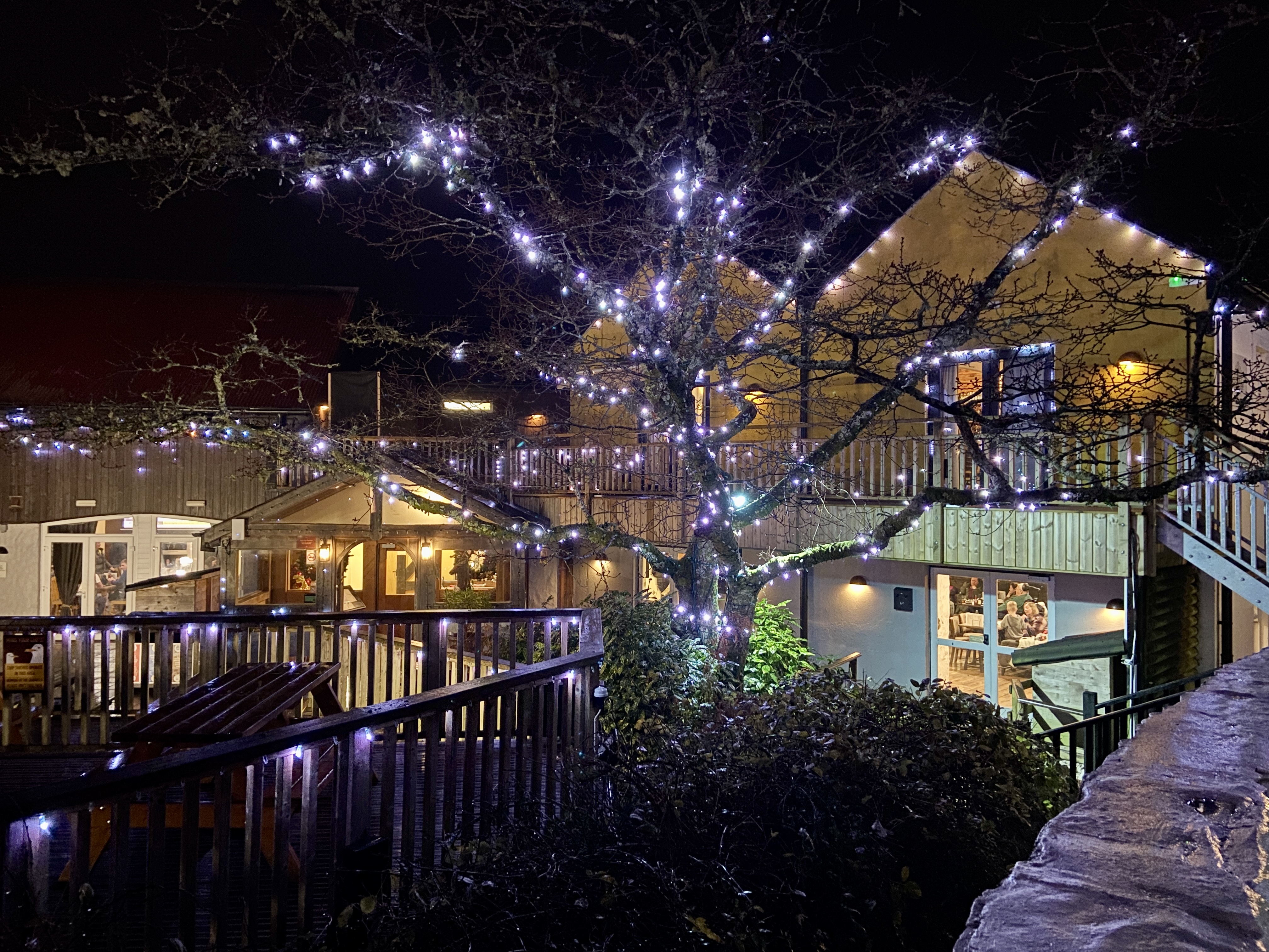 Festive Vibes at Bluestone Resort in December 2024