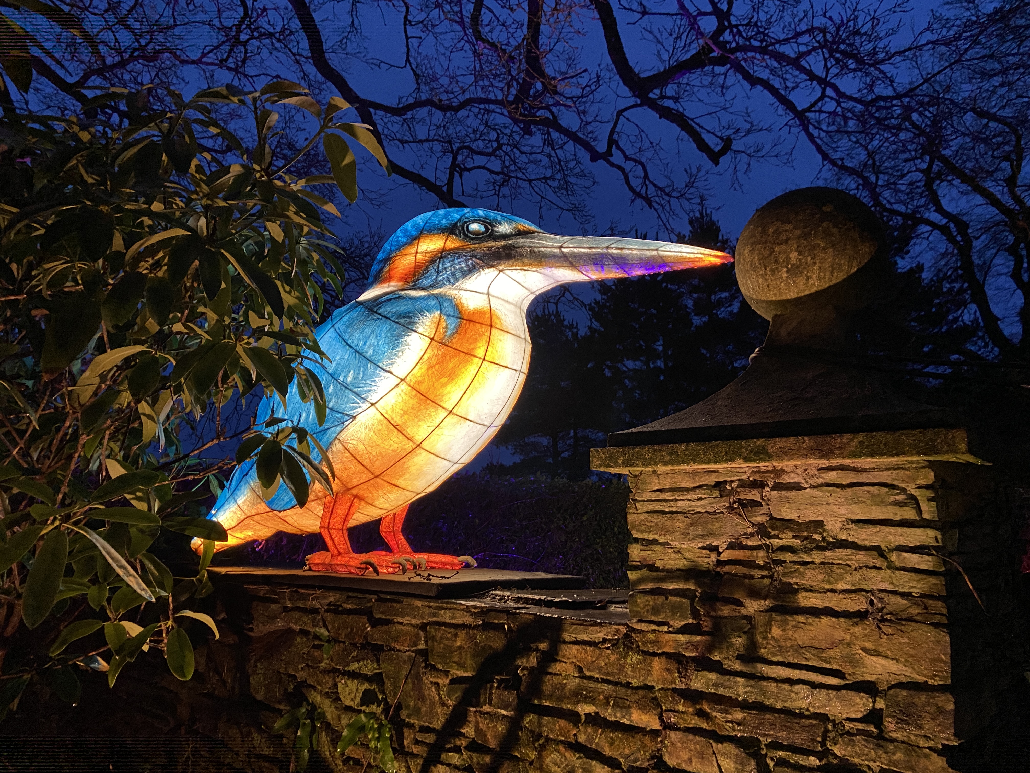 Heligan Night Garden Review 2024