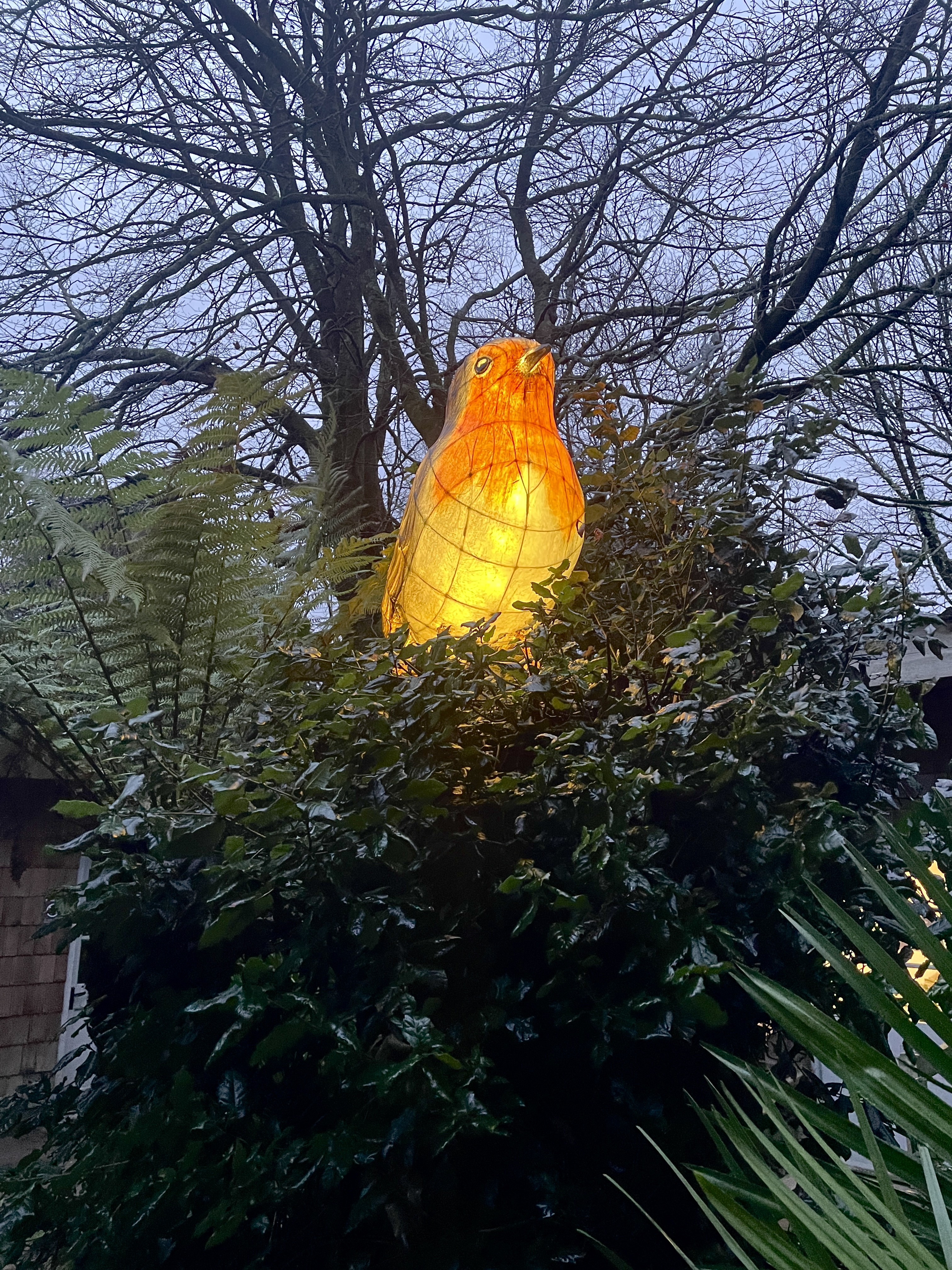 Heligan Night Garden Review 2024