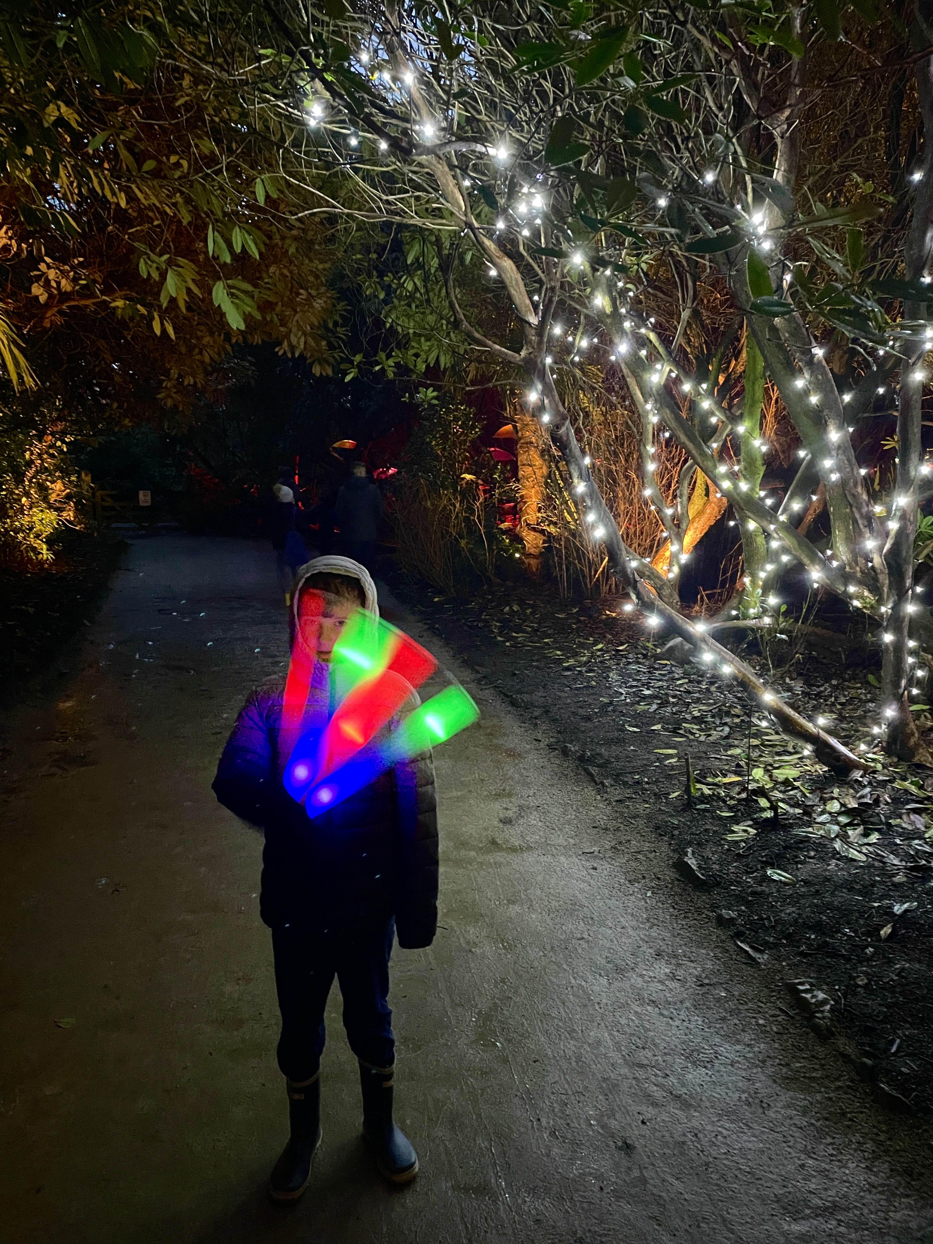 Heligan Night Garden Review 2024