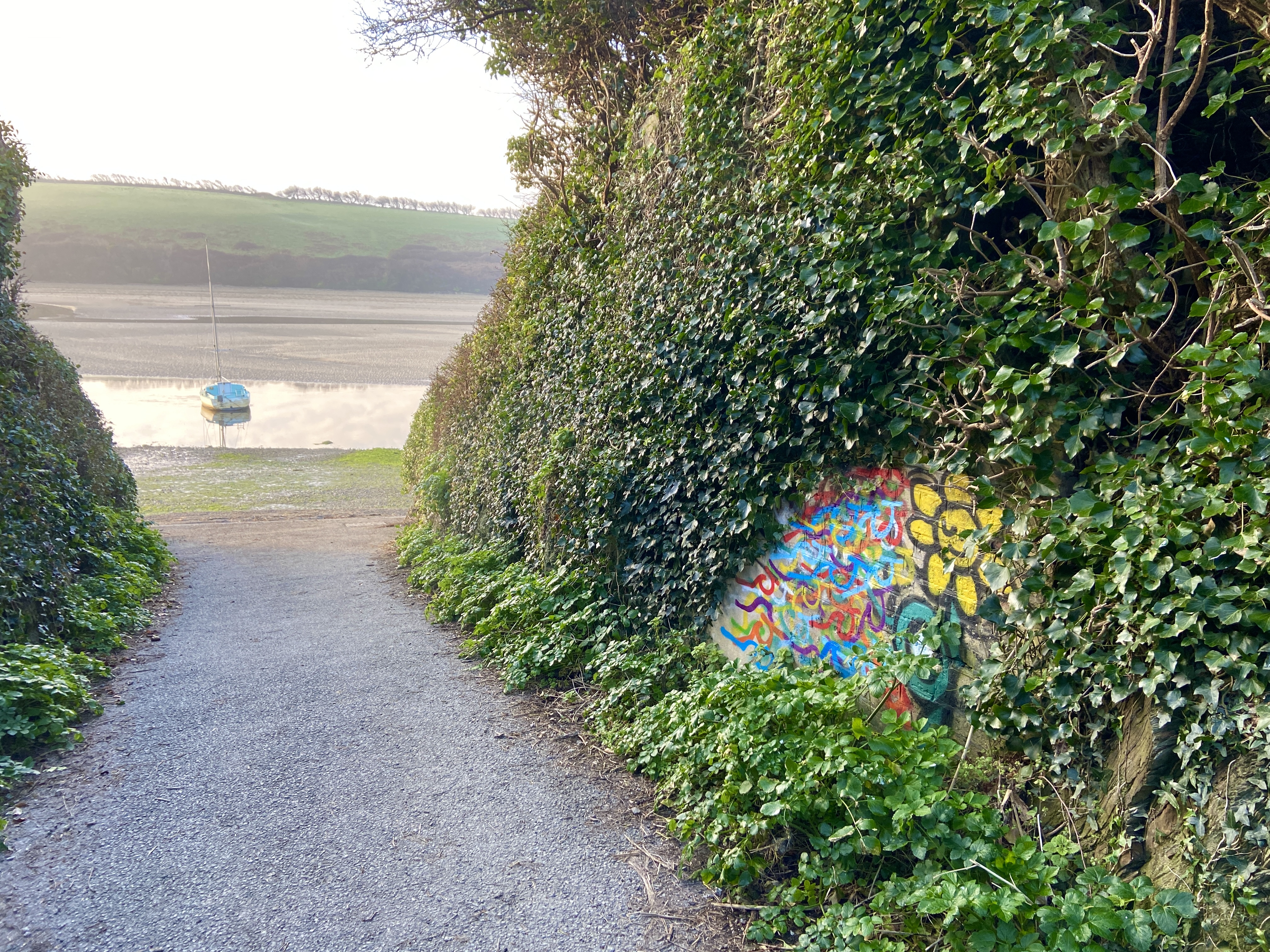 Colourful sunflower street art trevean way newquay the gannel