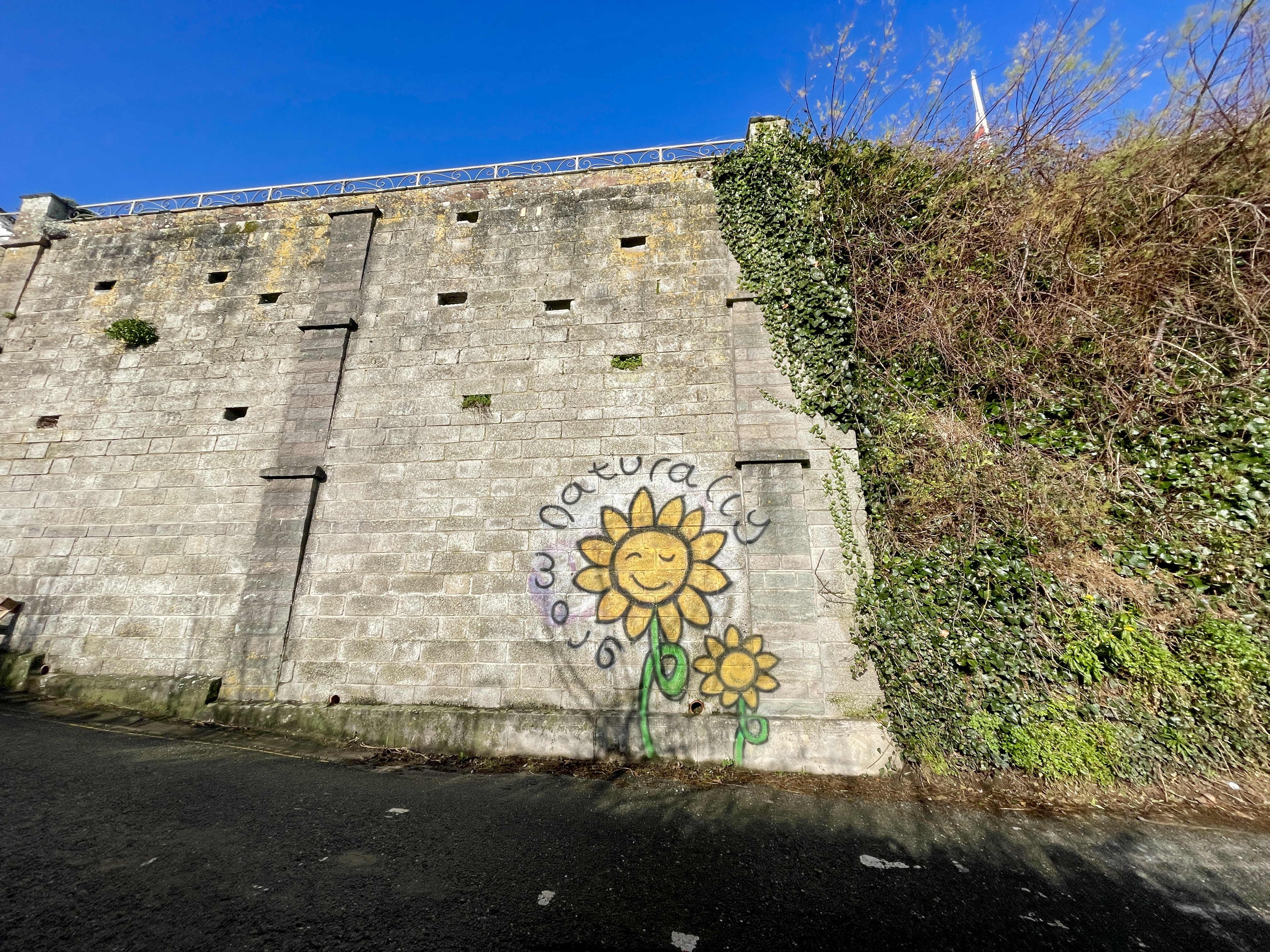 grow naturally sunflower street art newquay