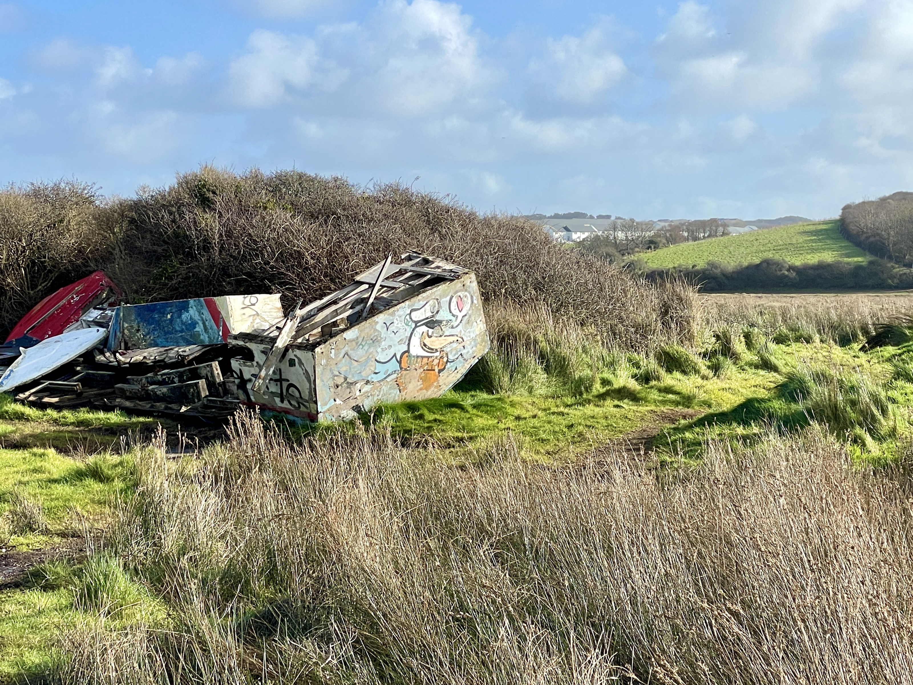 Captain Seagull Street Art in Newquay by Roo