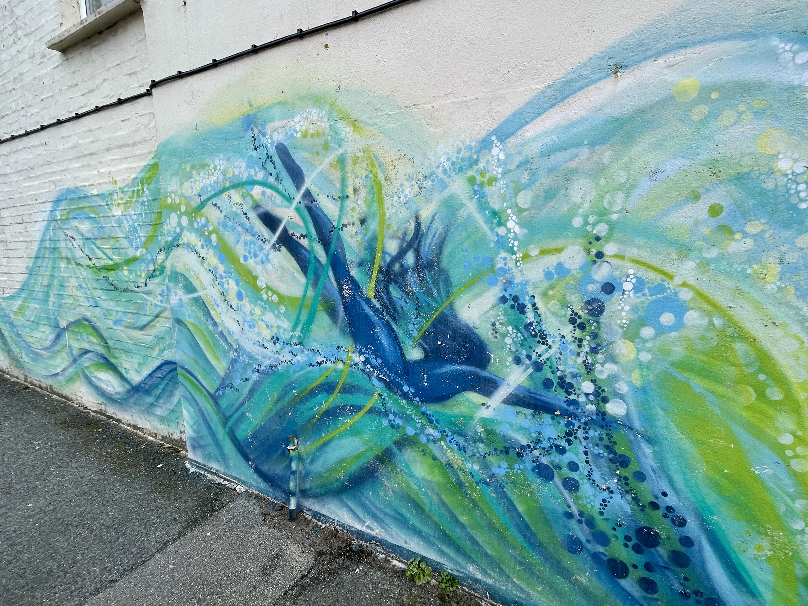 Street Art in Newquay by Emily Donald 