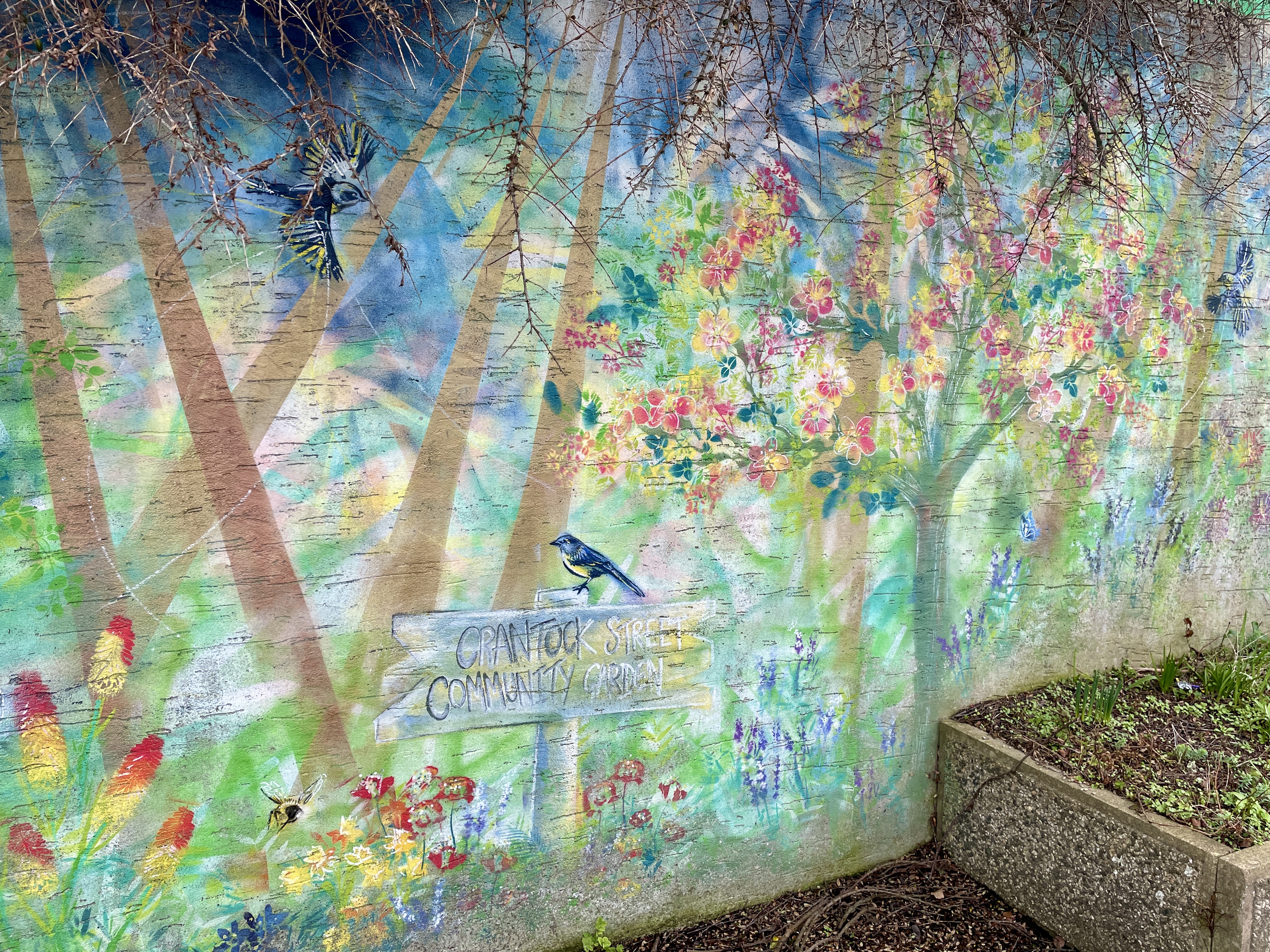Street Art in Newquay by Emily Donald 