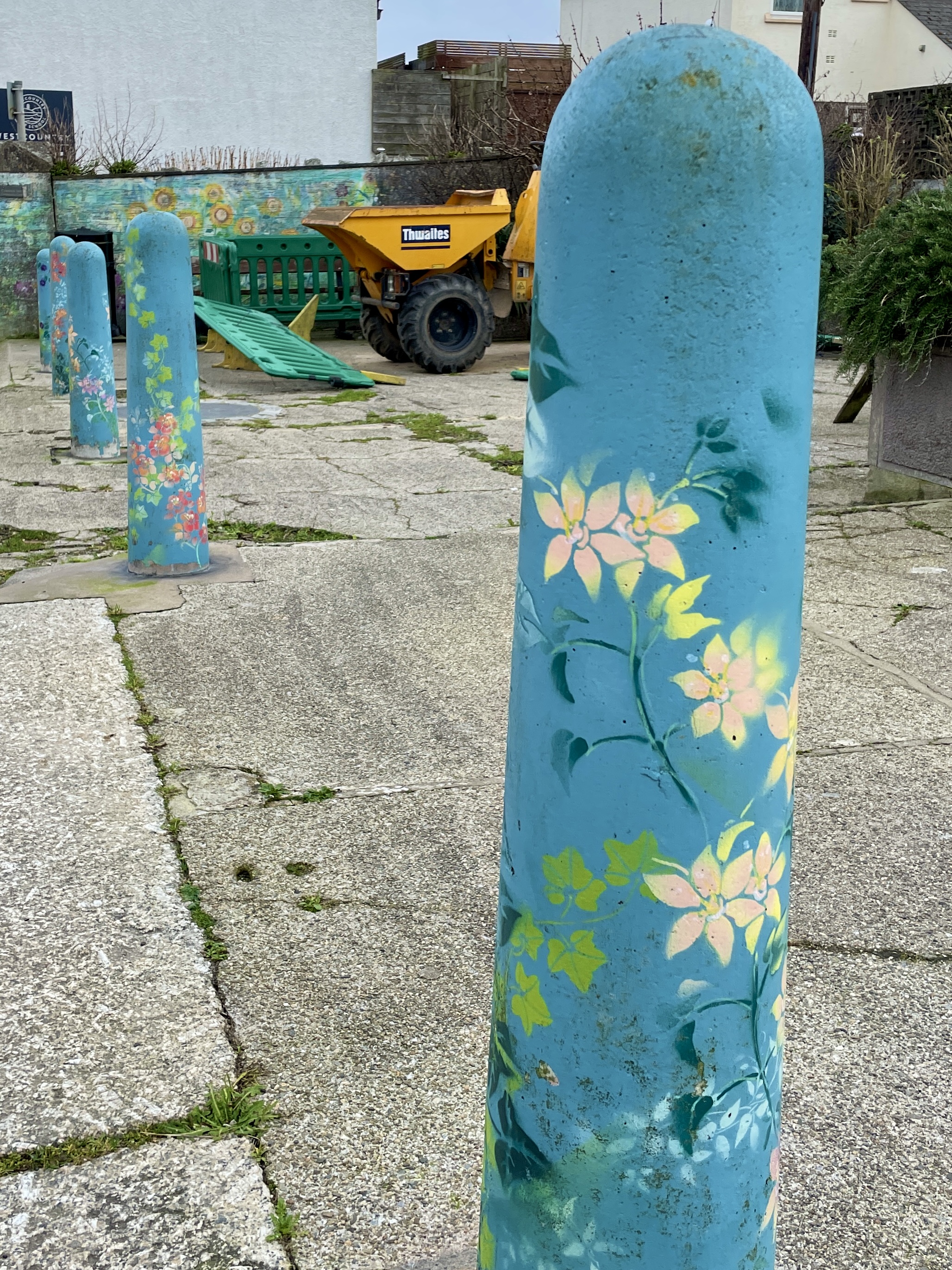 Street Art in Newquay by Emily Donald 