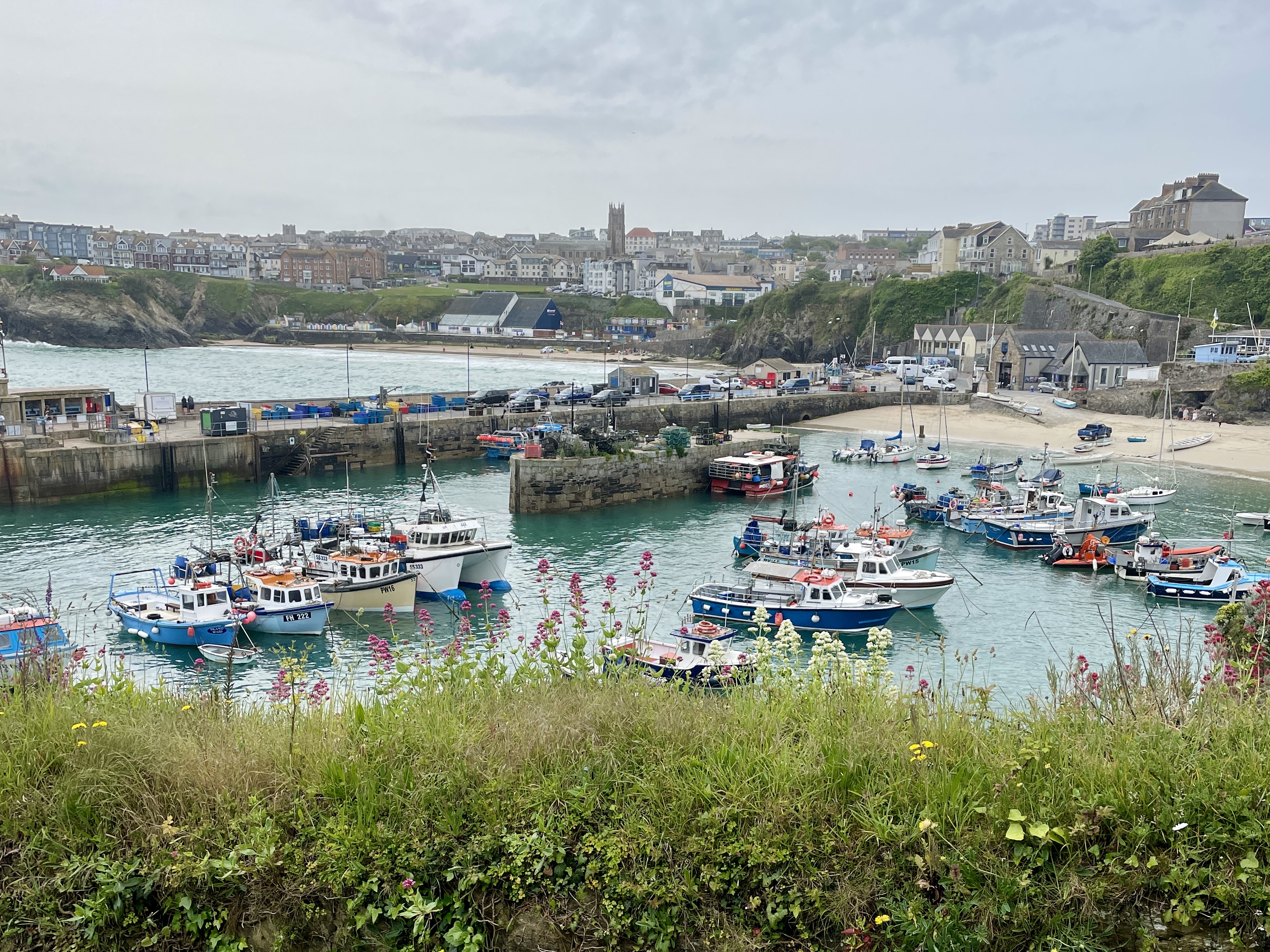 Free Things to Do at Newquay Harbour