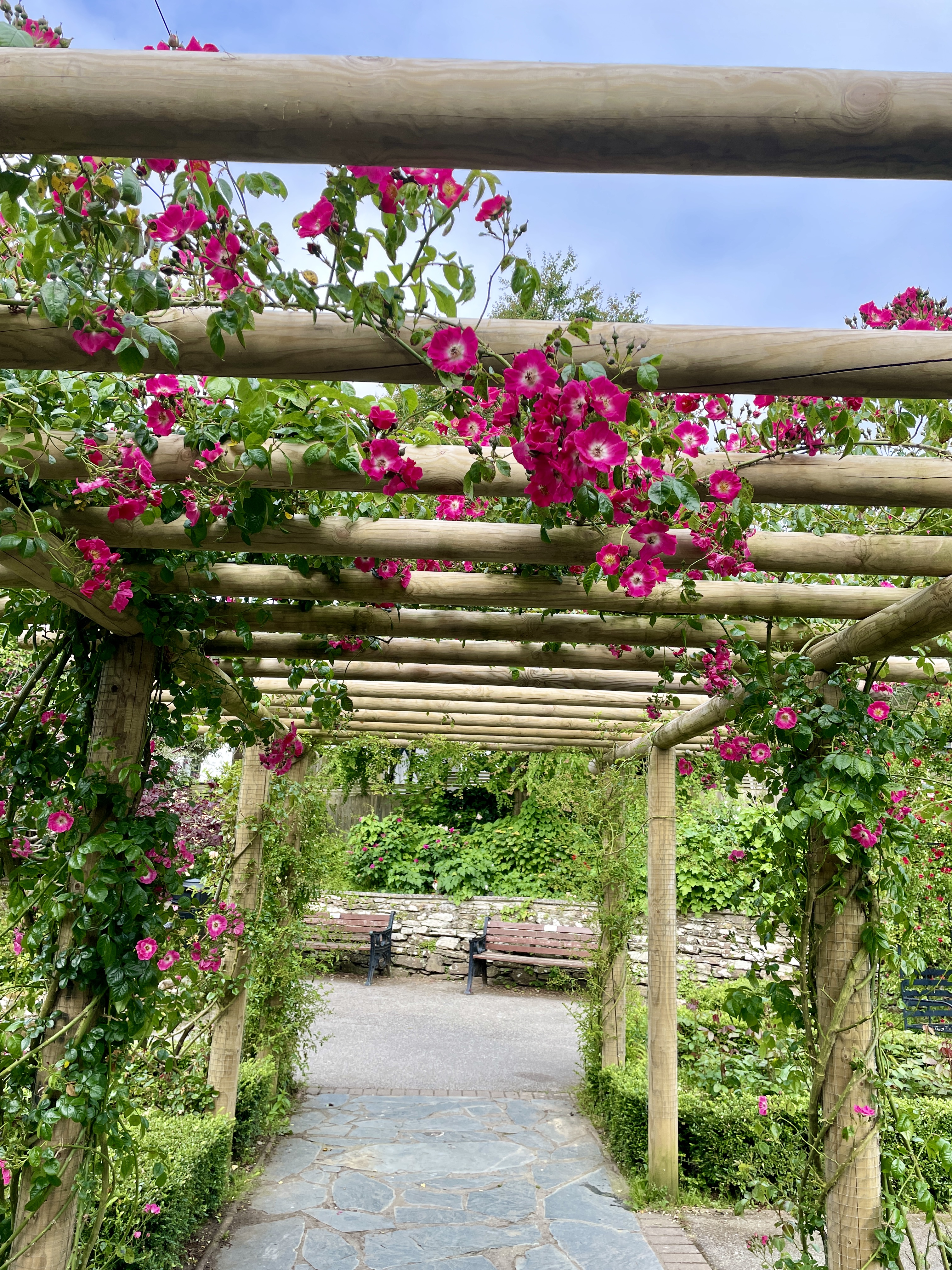 Trenance Gardens, Rose Garden