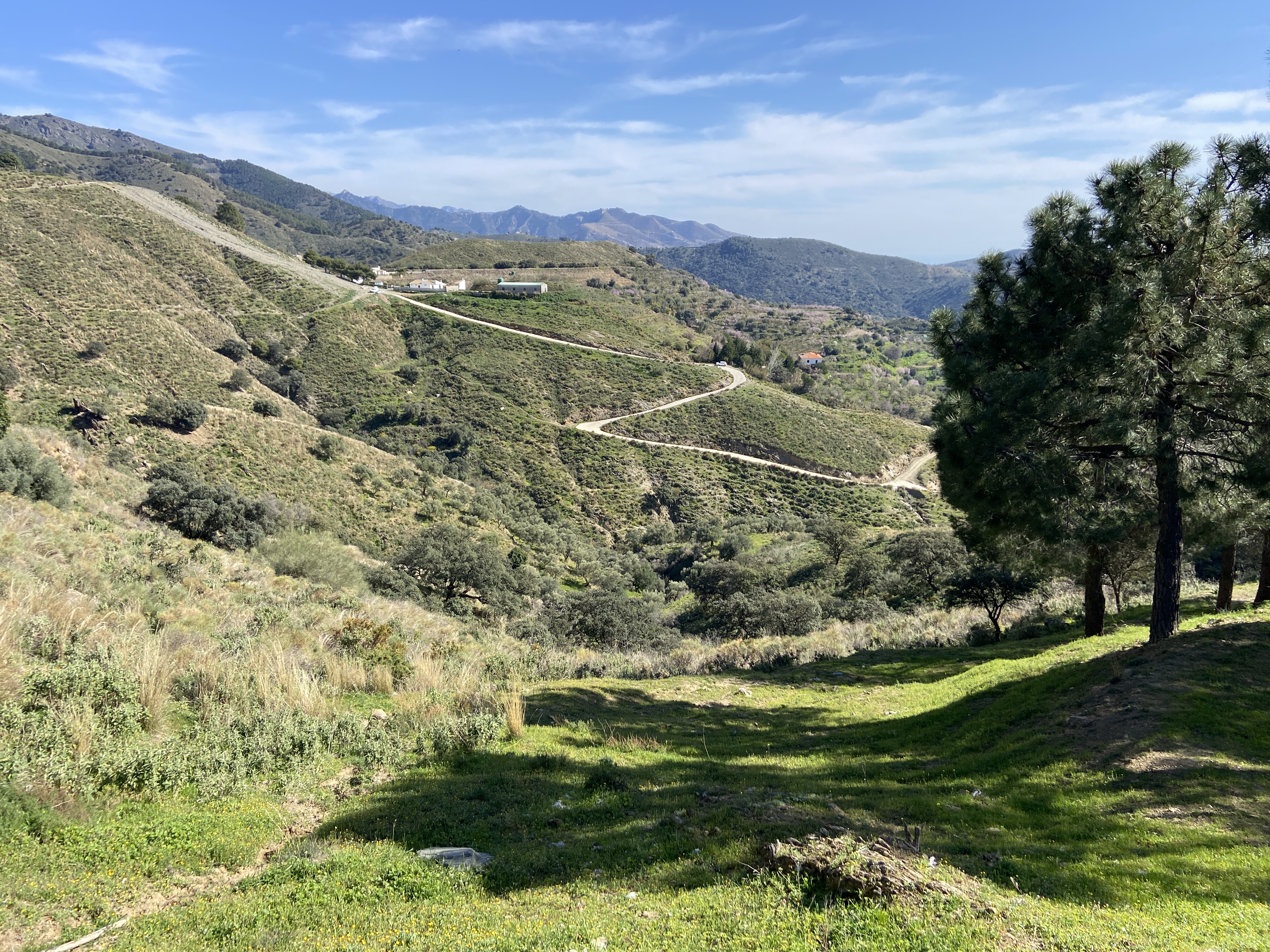mountain scenery near sedella in spain