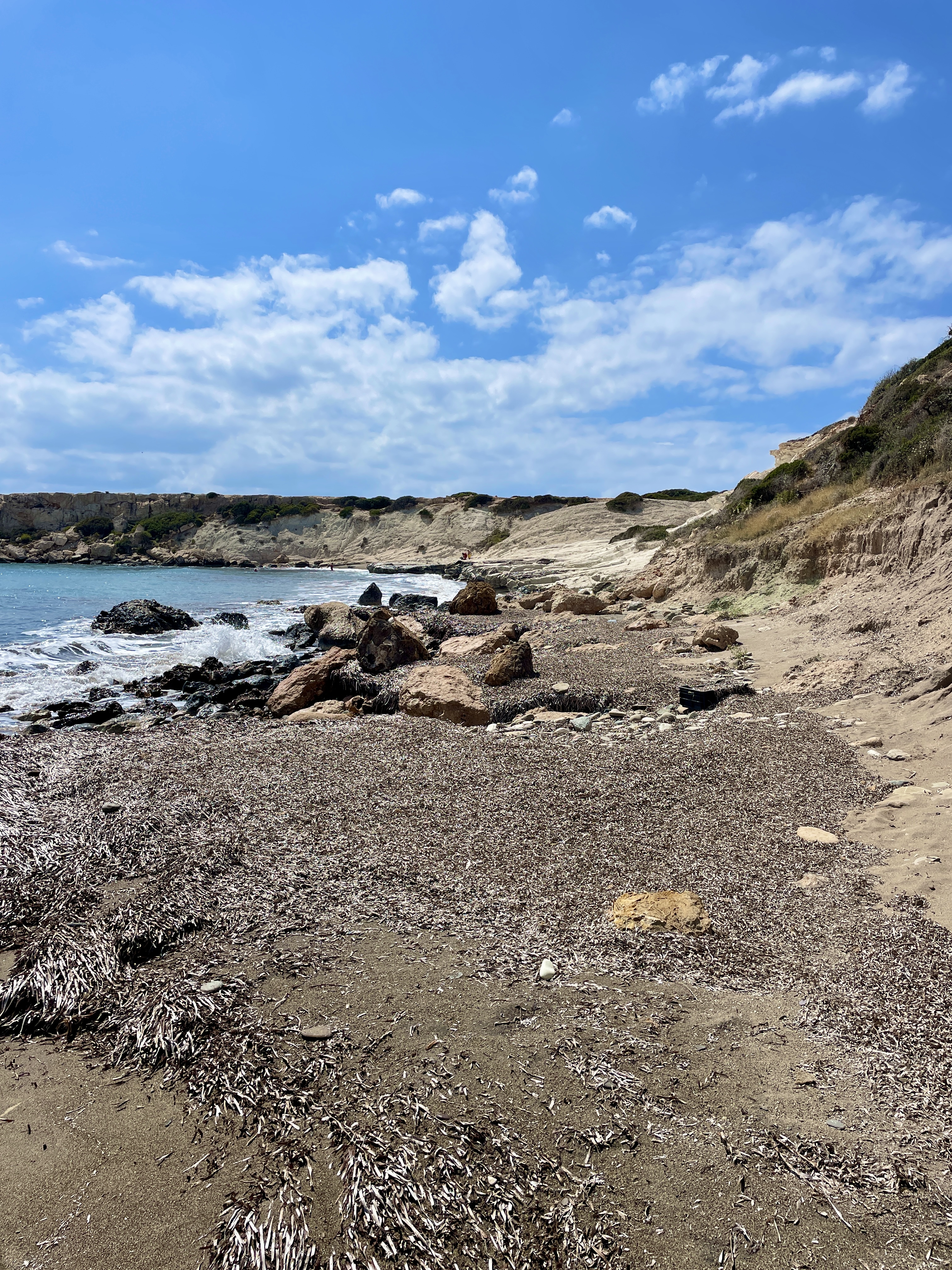 Beach at Lara Bay by Turtles Kiosk Cafe Restaurant 