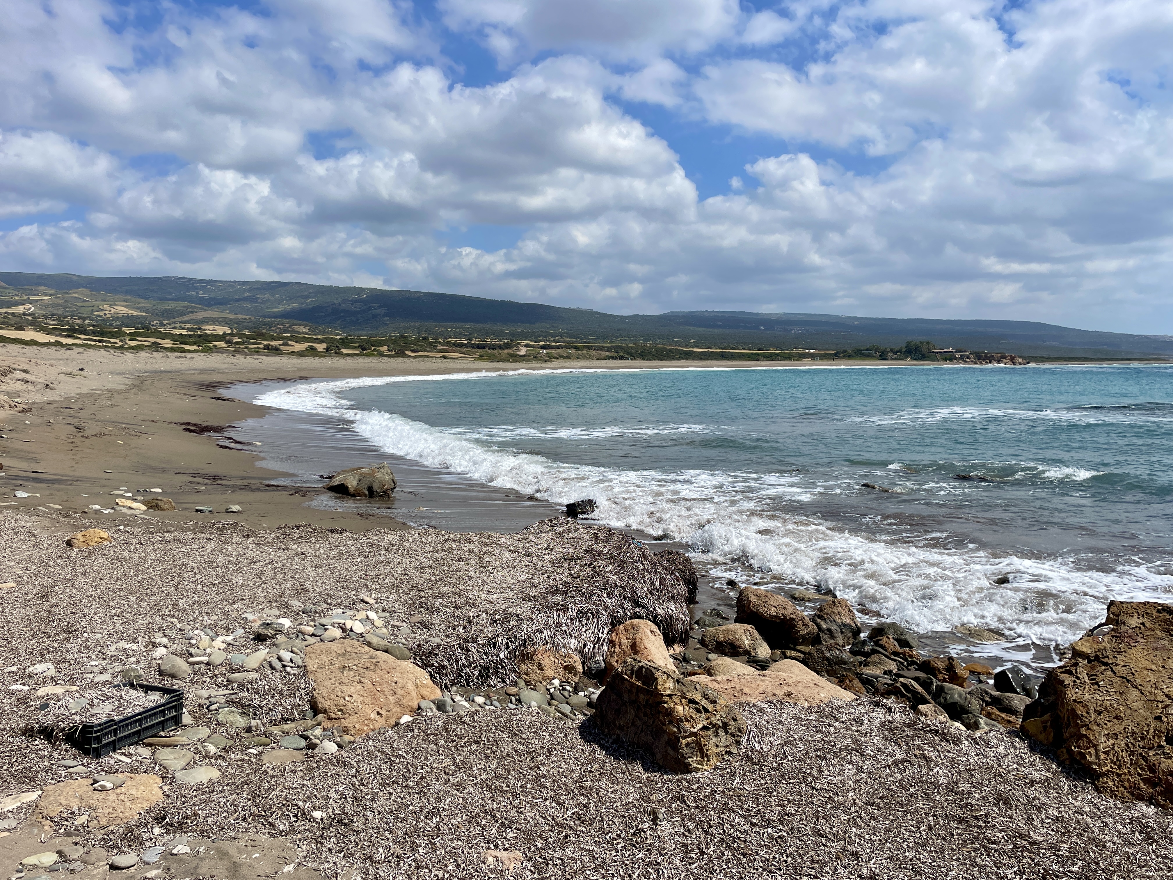 Beach at Lara Bay by Turtles Kiosk Cafe Restaurant 