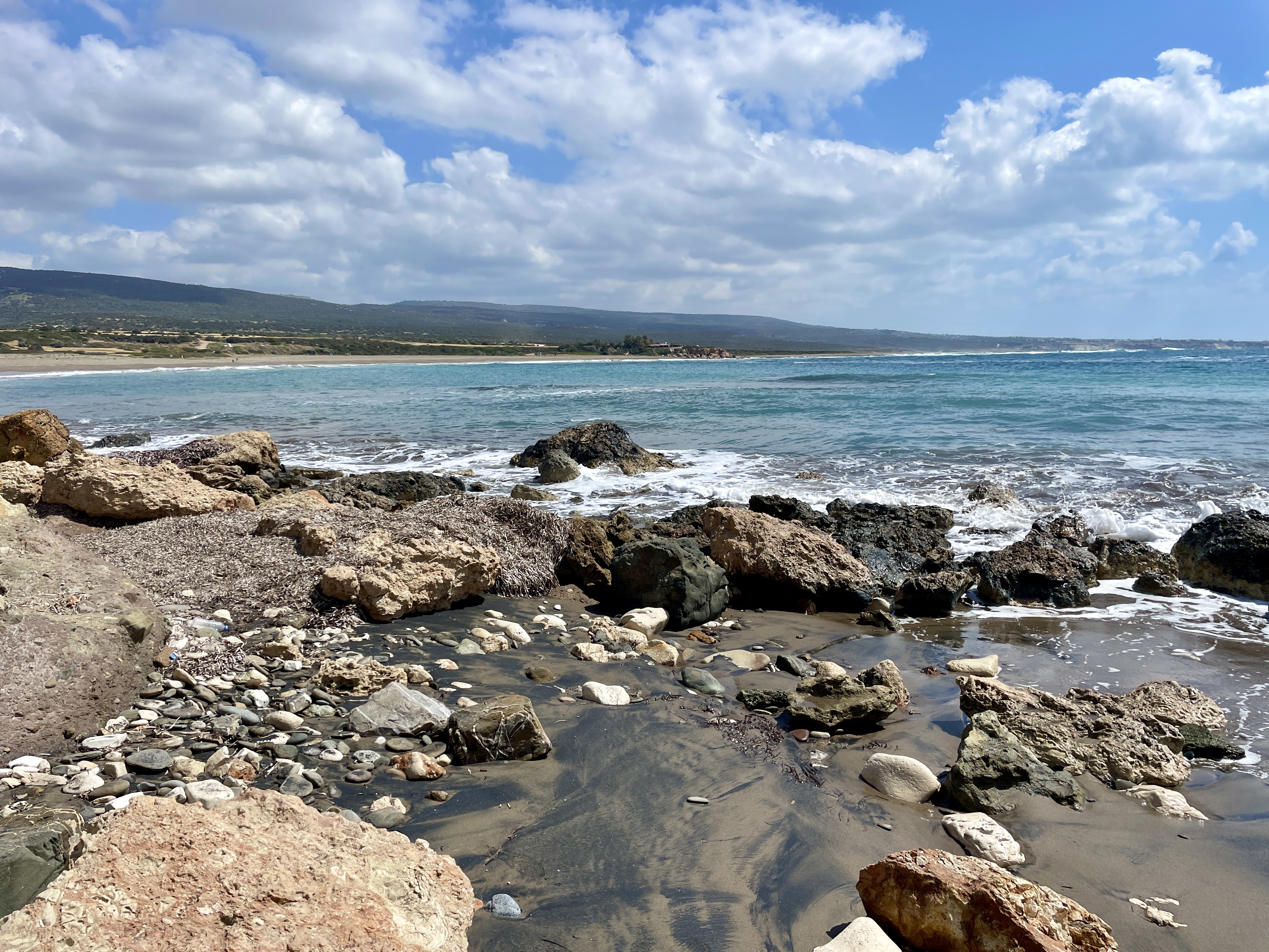 Beach at Lara Bay by Turtles Kiosk Cafe Restaurant 