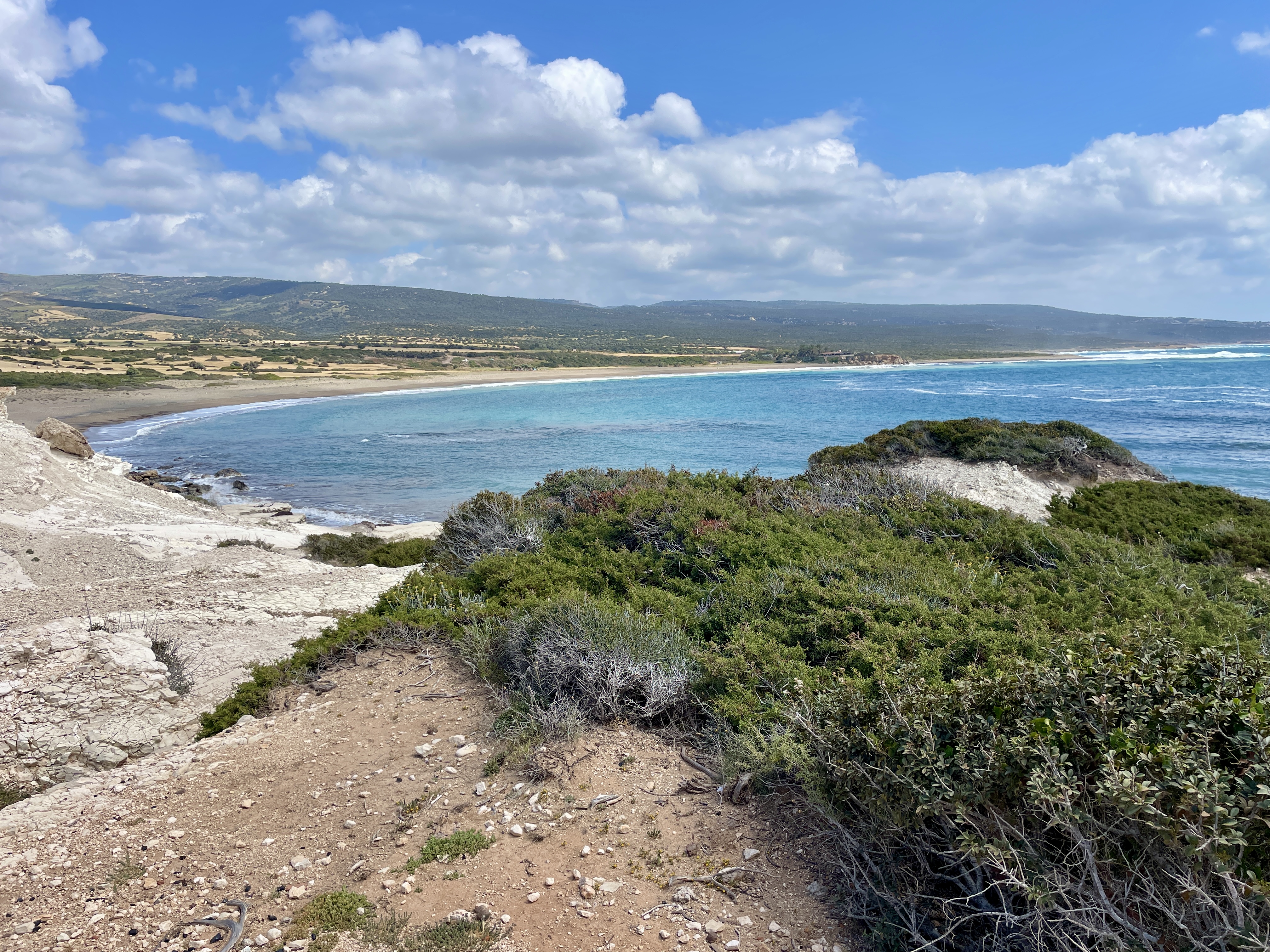 Beach at Lara Bay by Turtles Kiosk Cafe Restaurant 