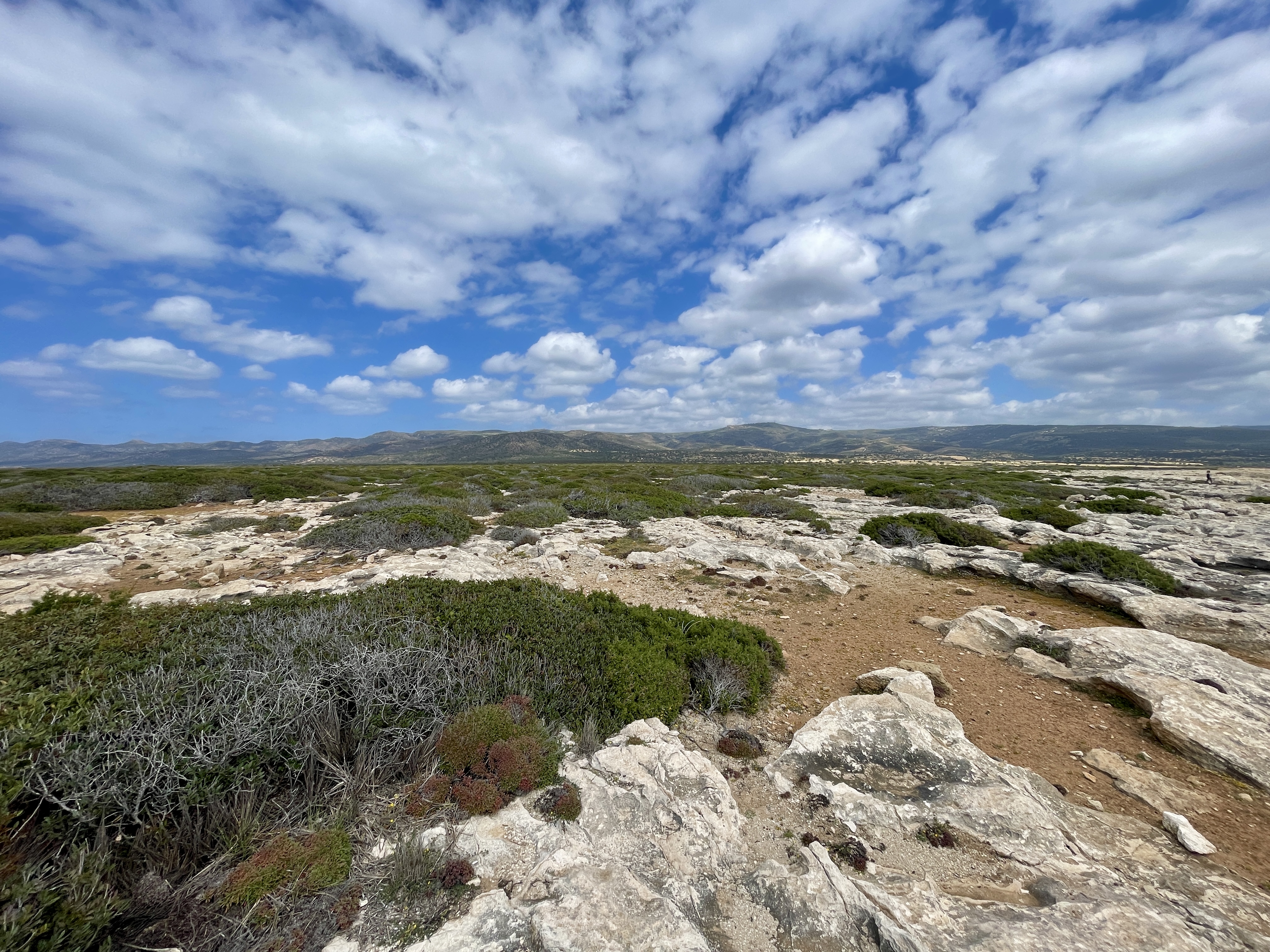 Lara Point Cyprus 