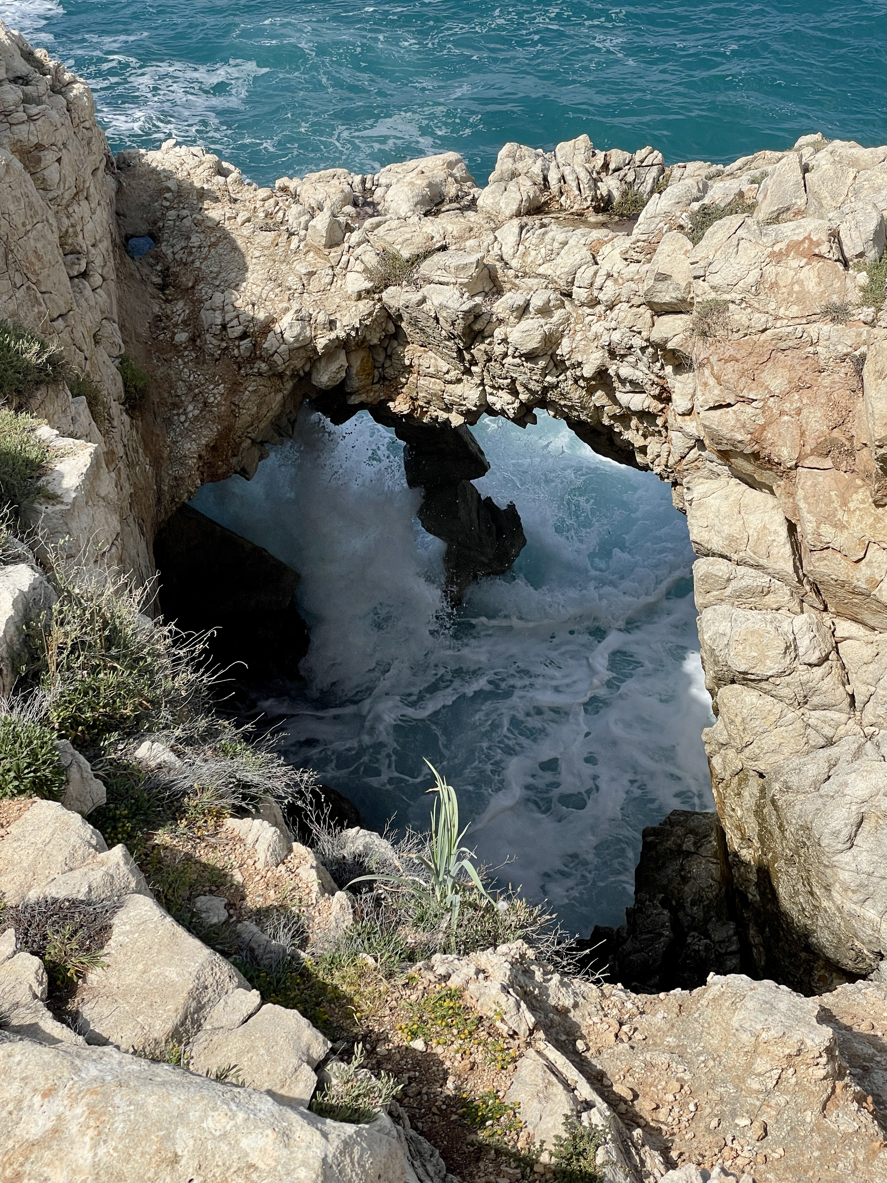 Shark Cave
