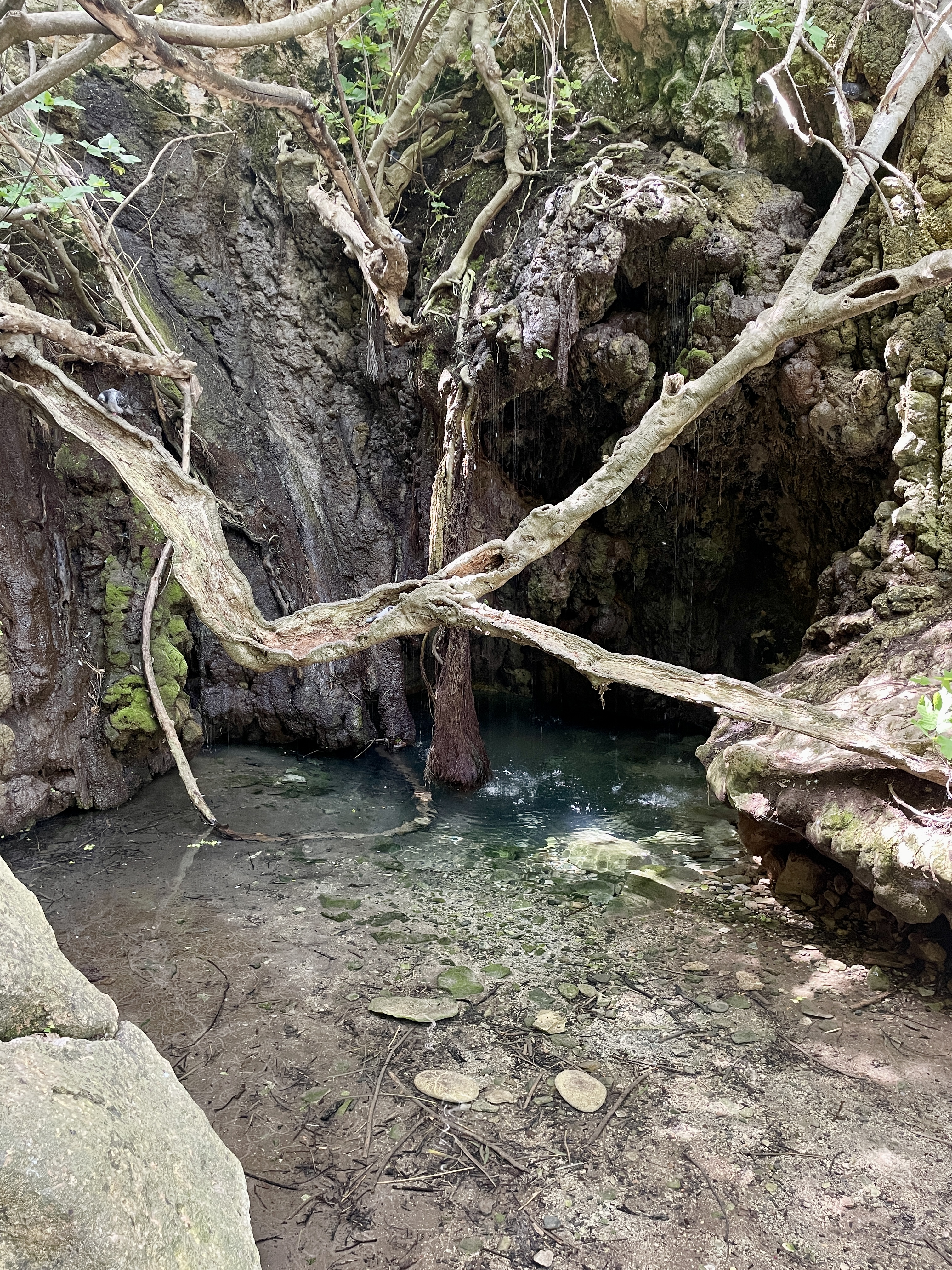 Baths of Aphrodite Cyprus