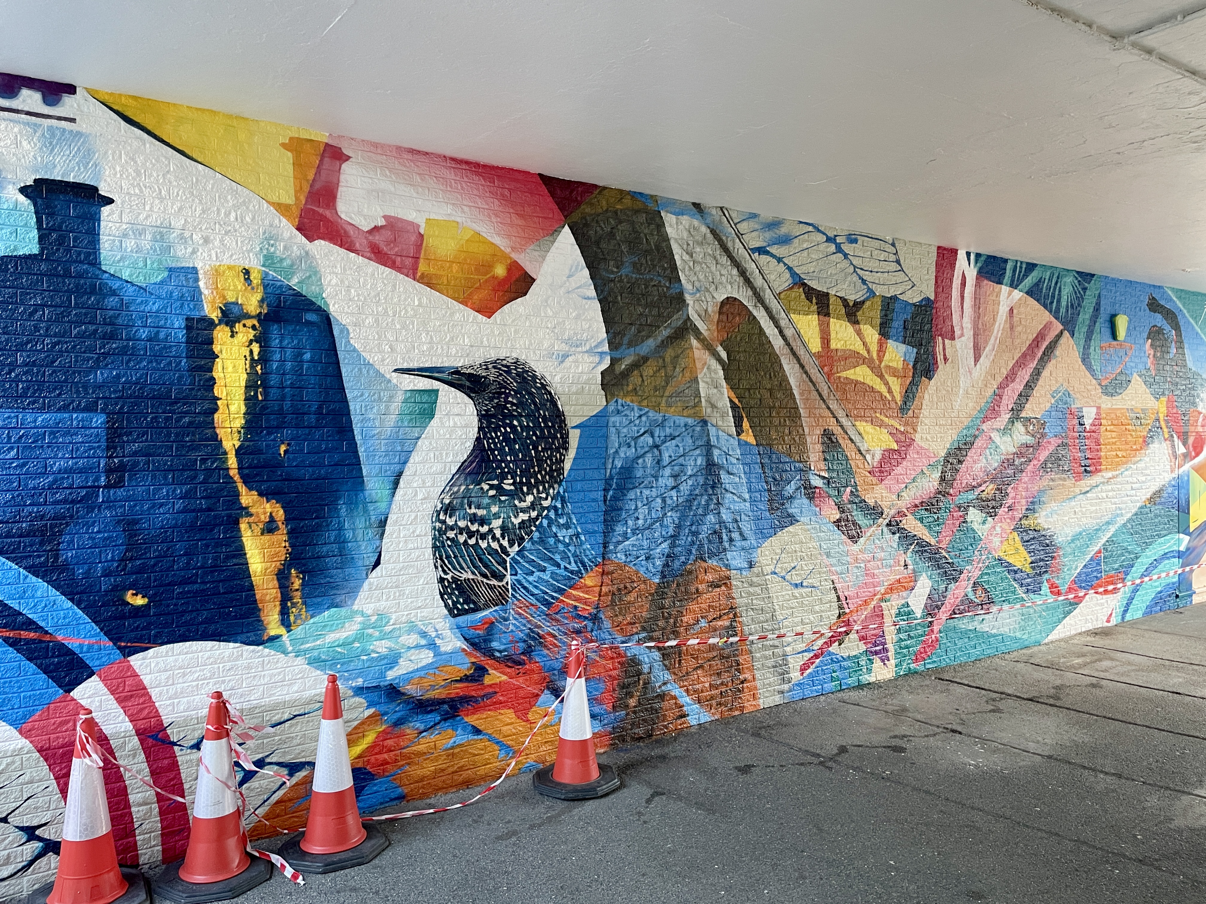 Newquay Train Station Mural by Hasan Kamil