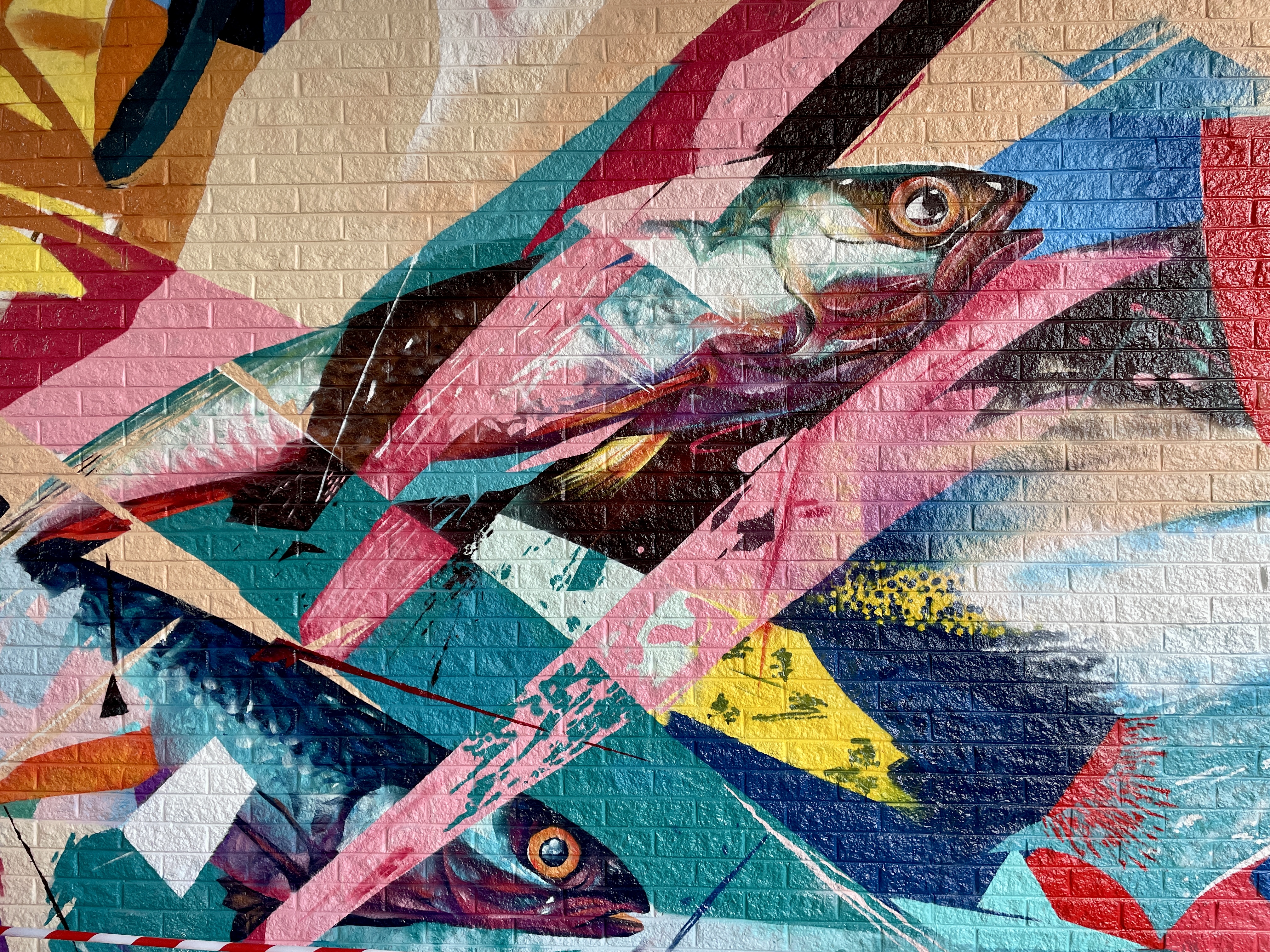 Newquay Train Station Mural by Hasan Kamil